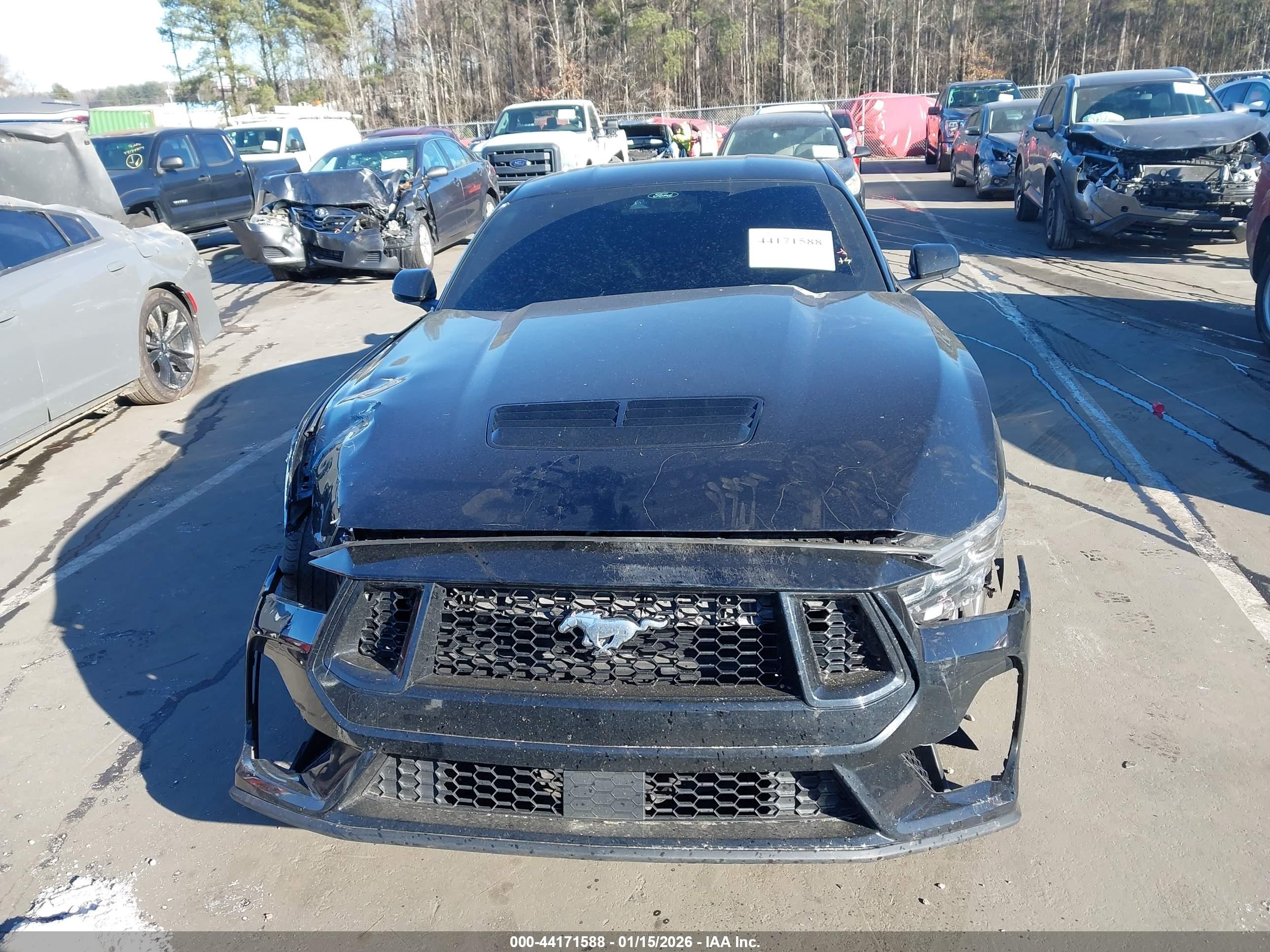 FORD MUSTANG image 6