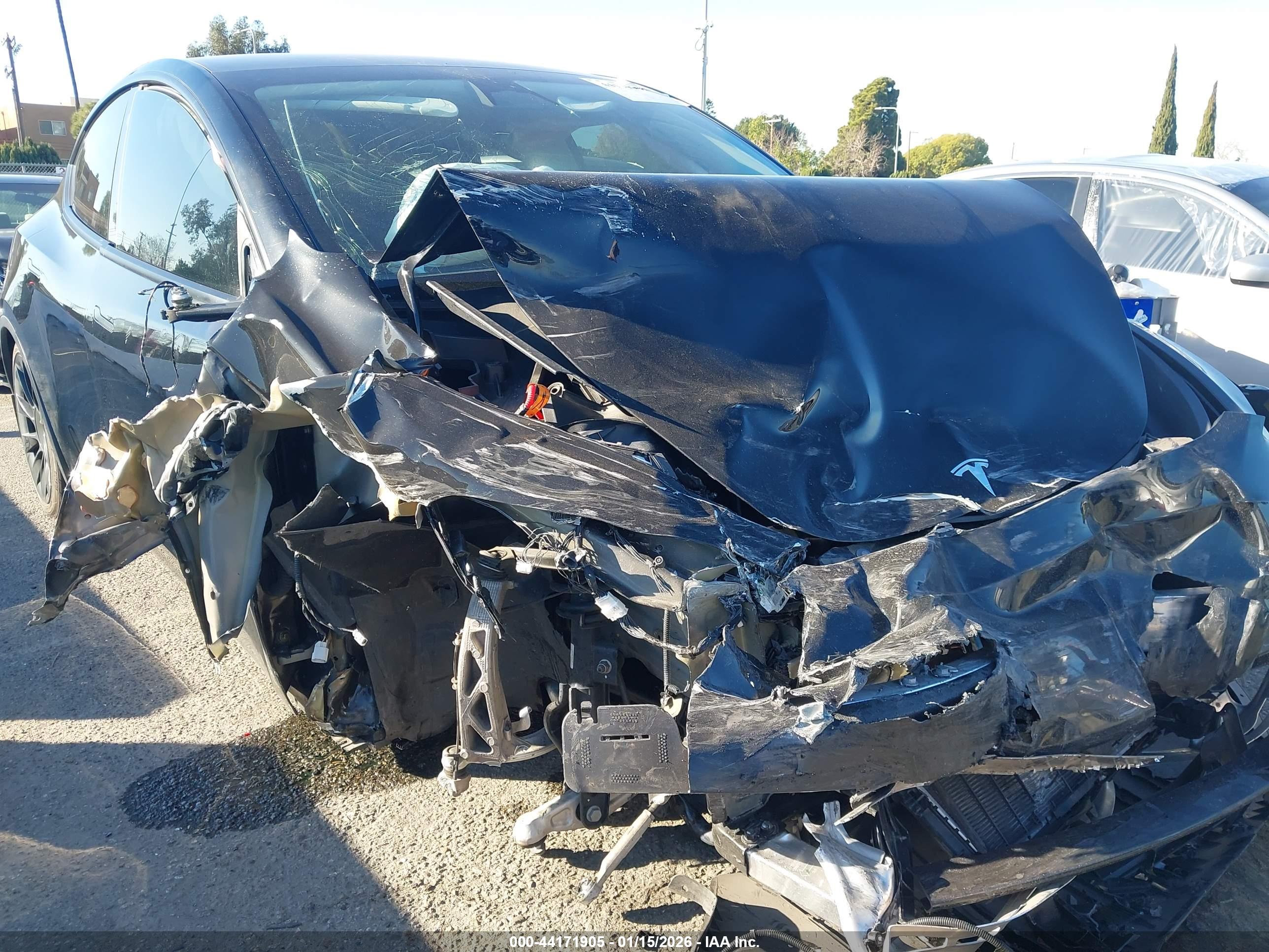 TESLA MODEL image 6