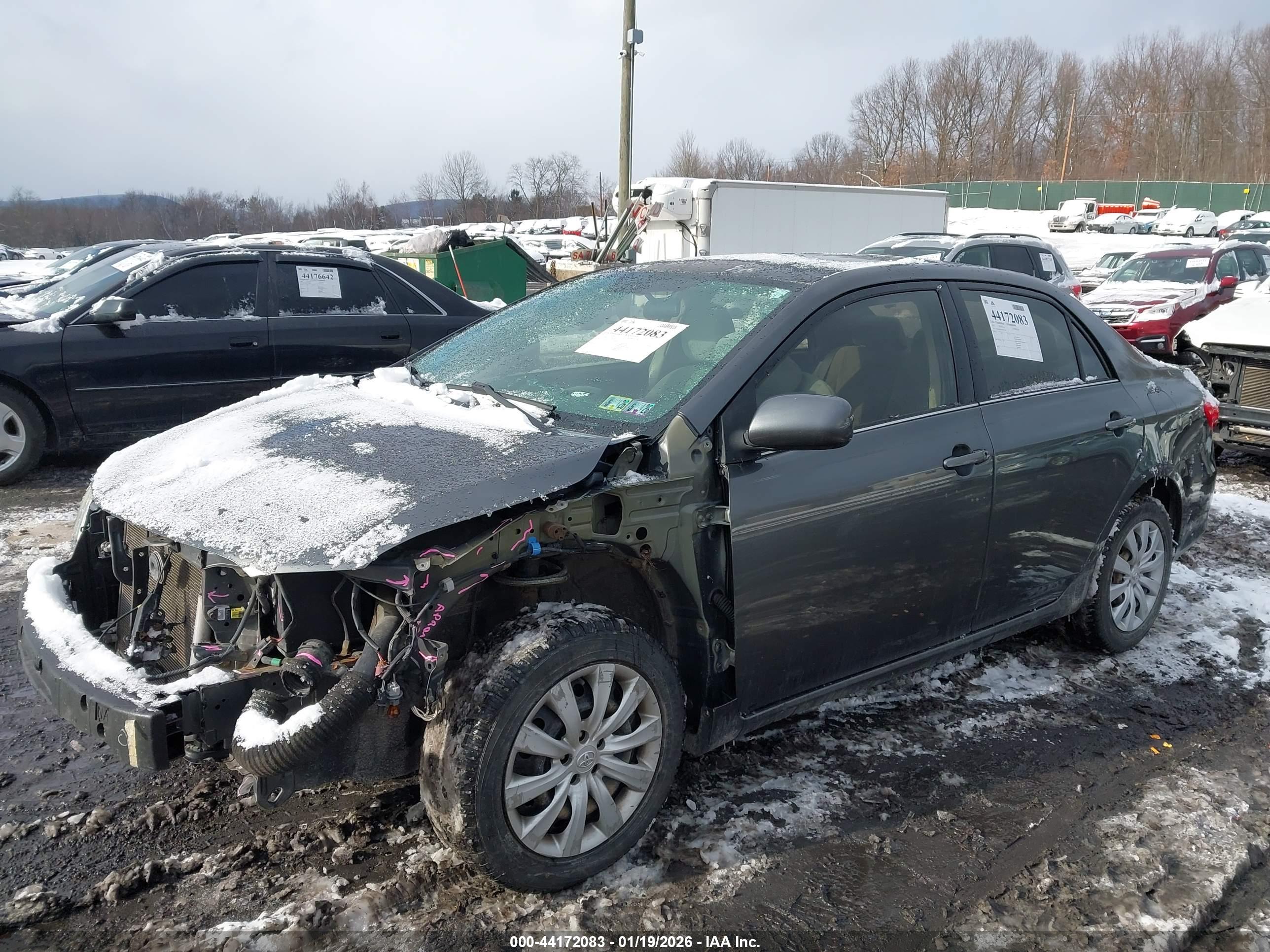 TOYOTA COROLLA image 2