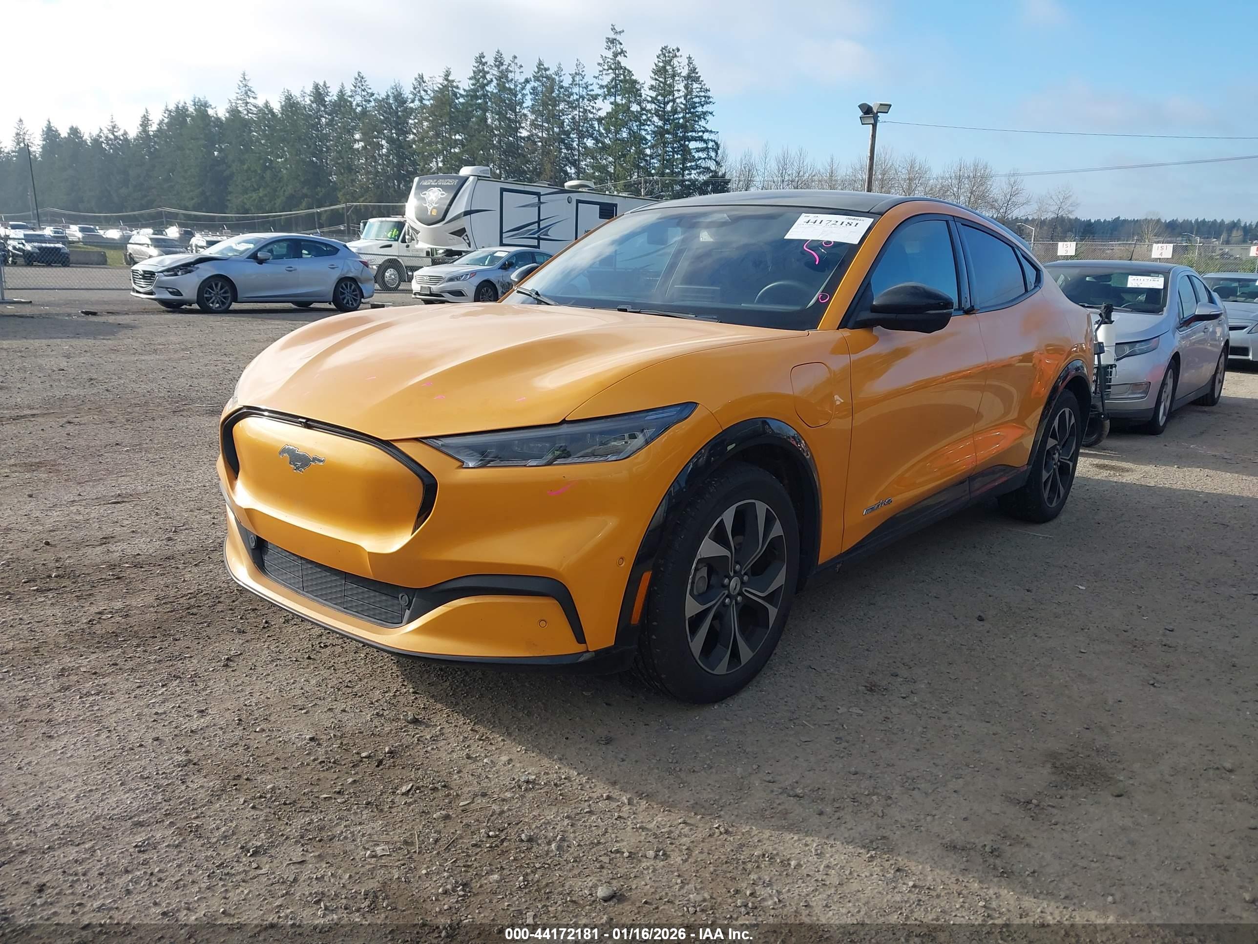FORD MUSTANG image 2