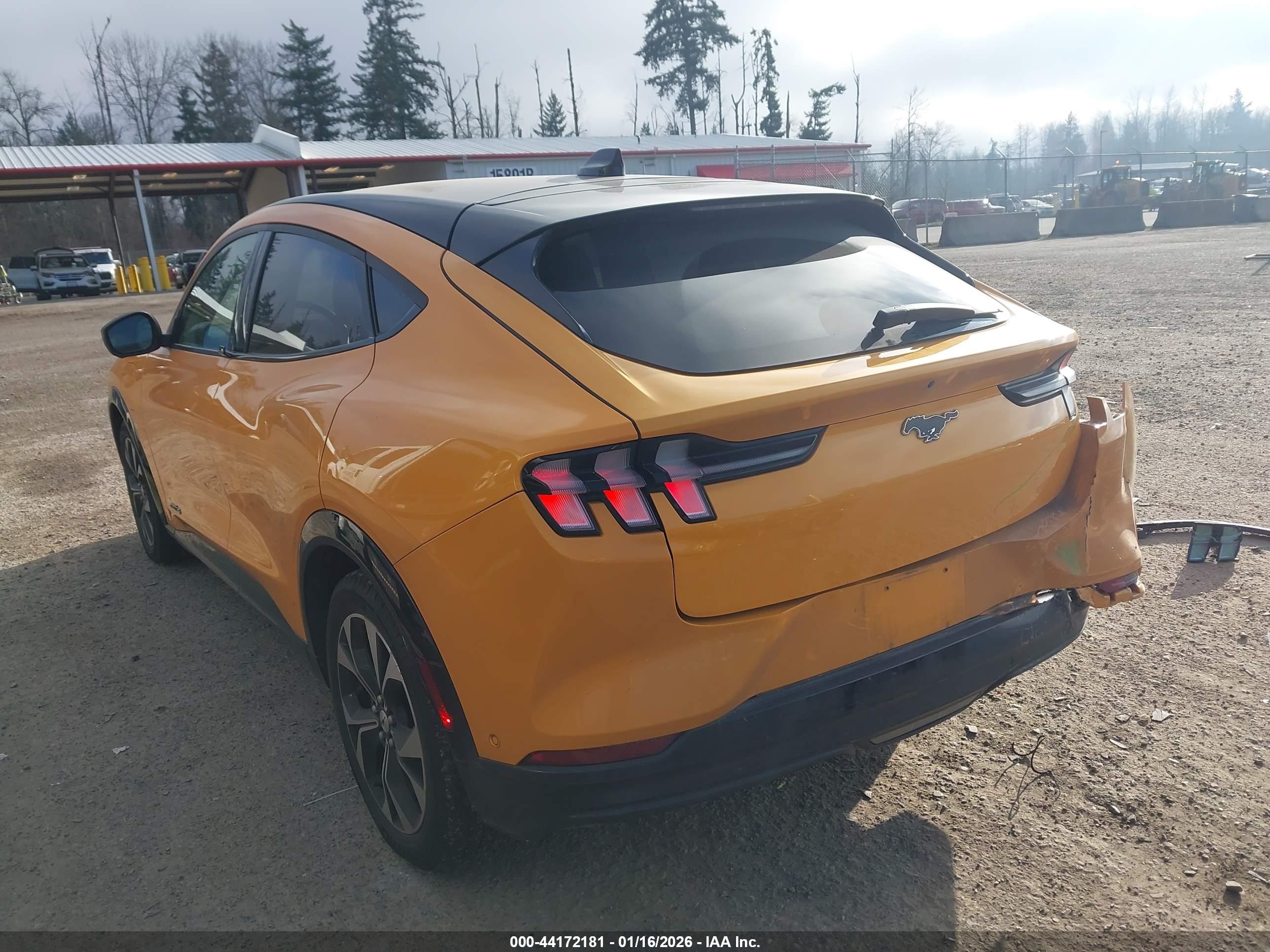 FORD MUSTANG image 3