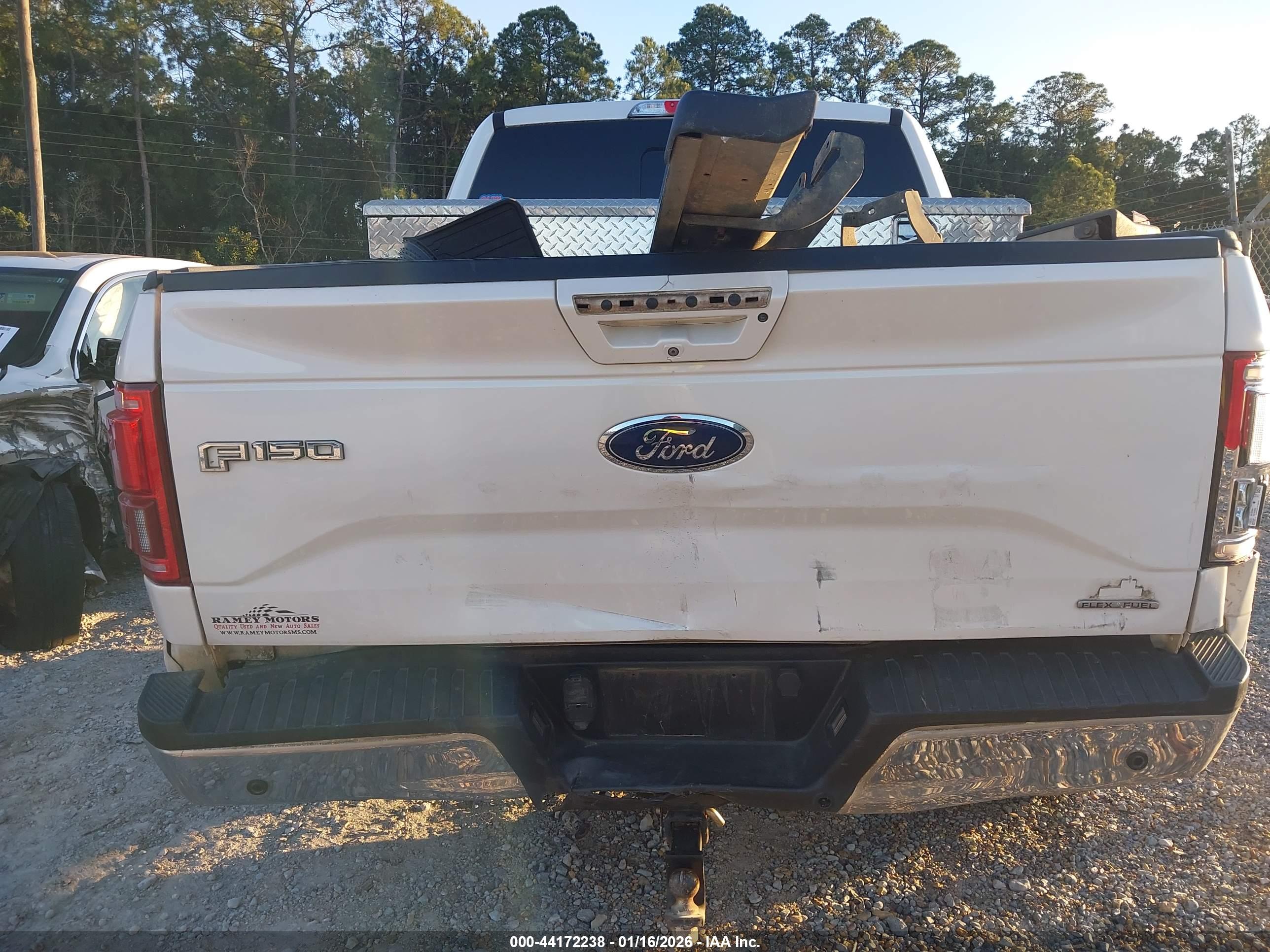 FORD F-150 image 6