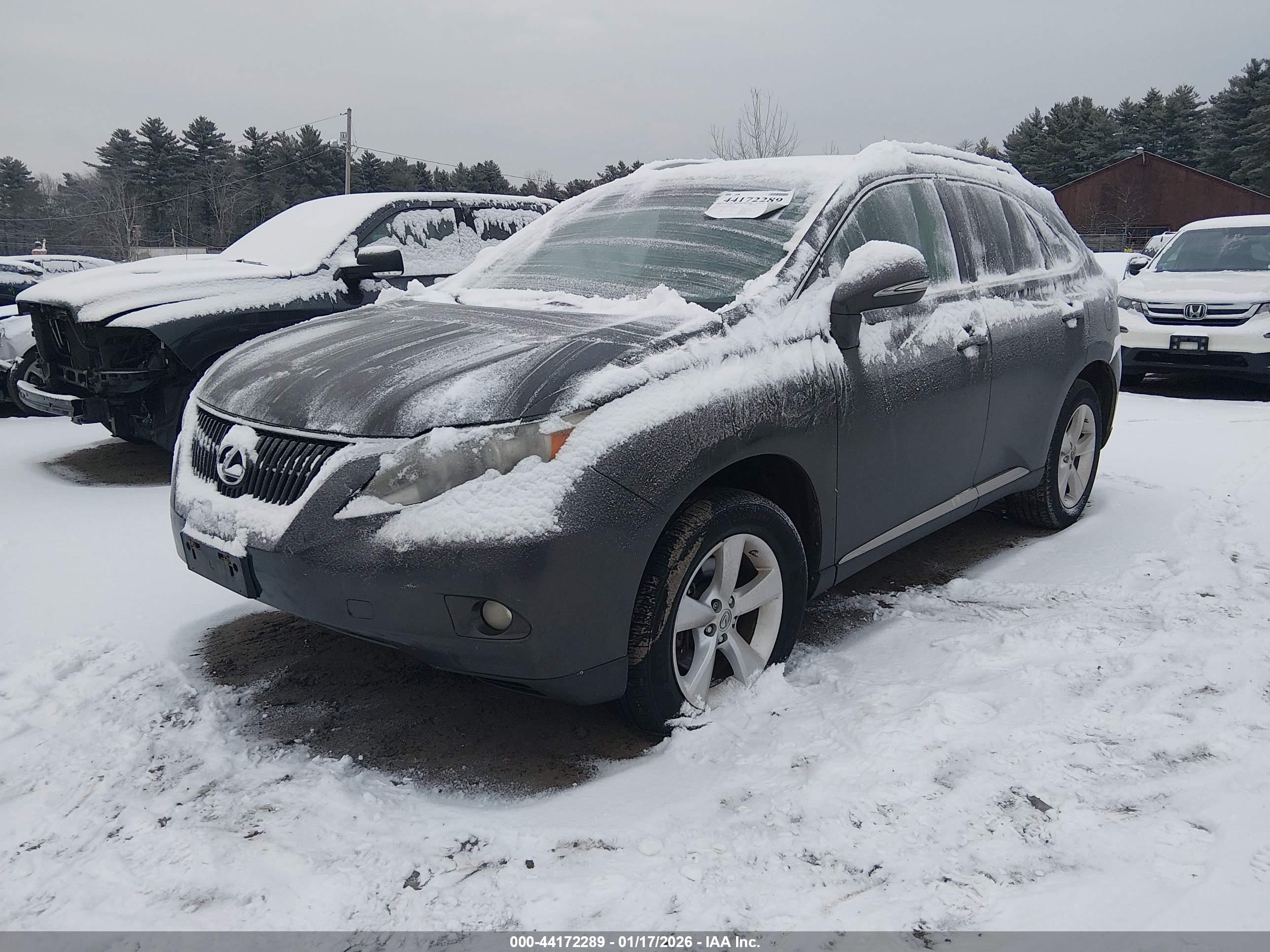 LEXUS RX image 2