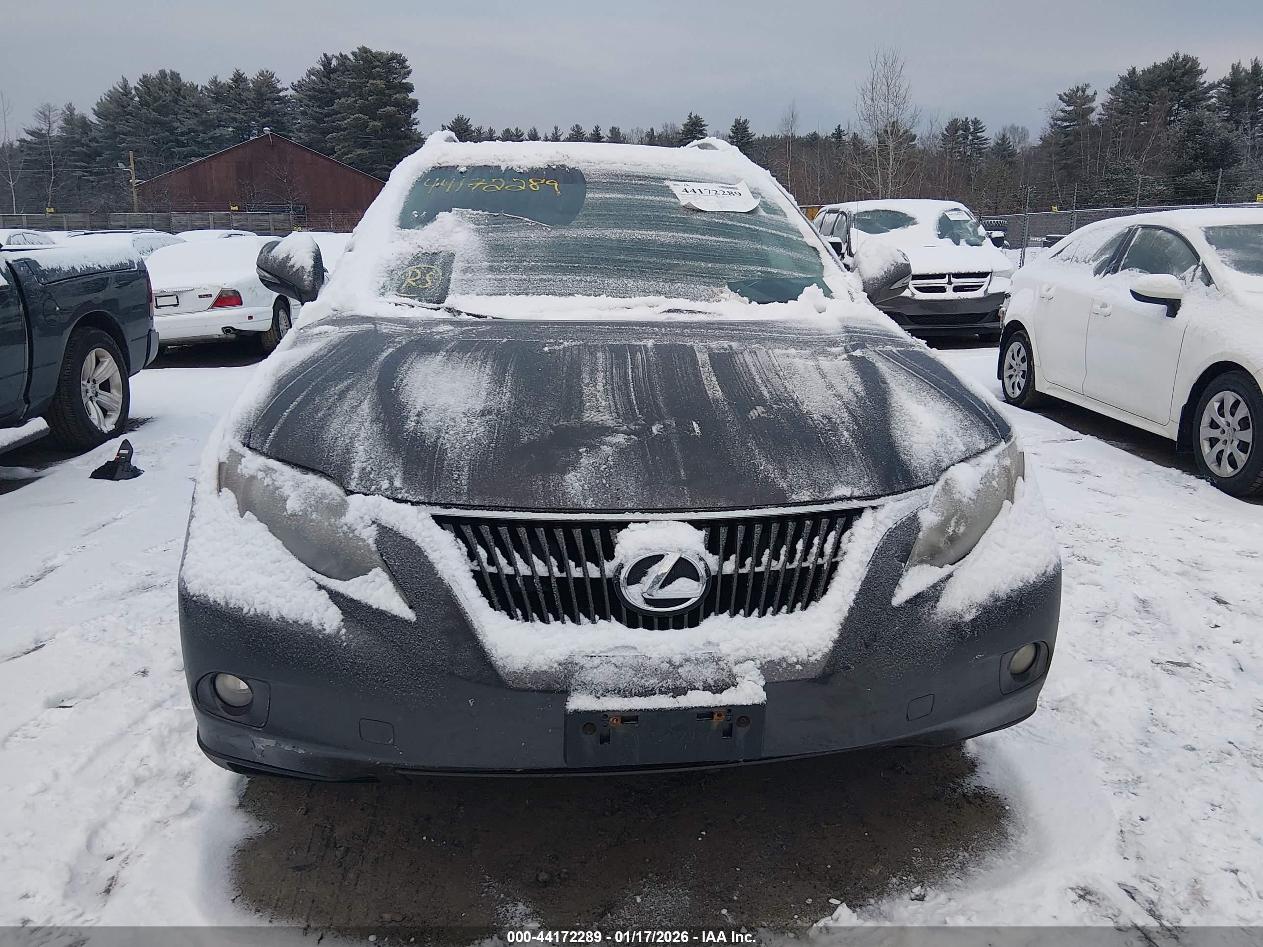 LEXUS RX image 6