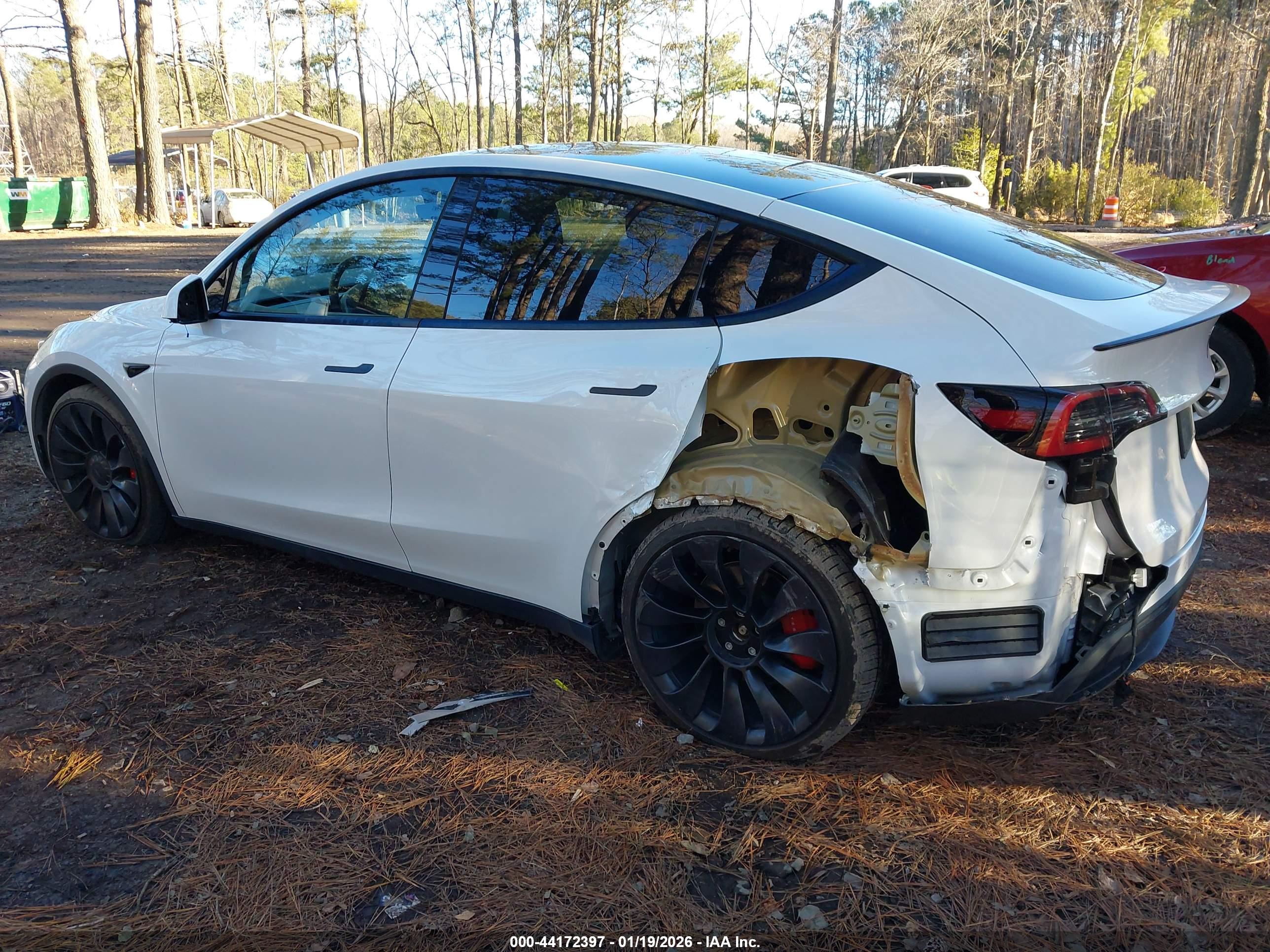 TESLA MODEL image 3