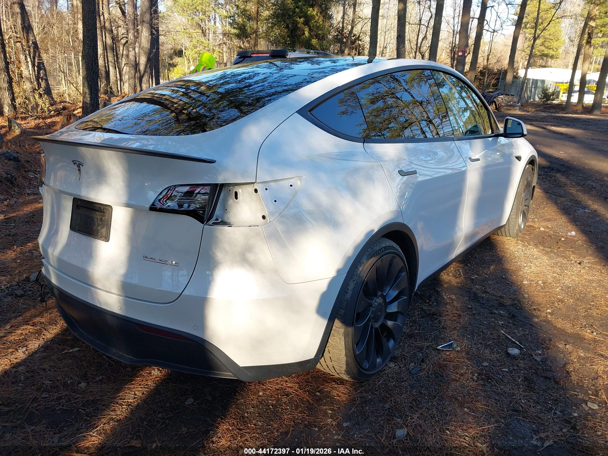TESLA MODEL image 4