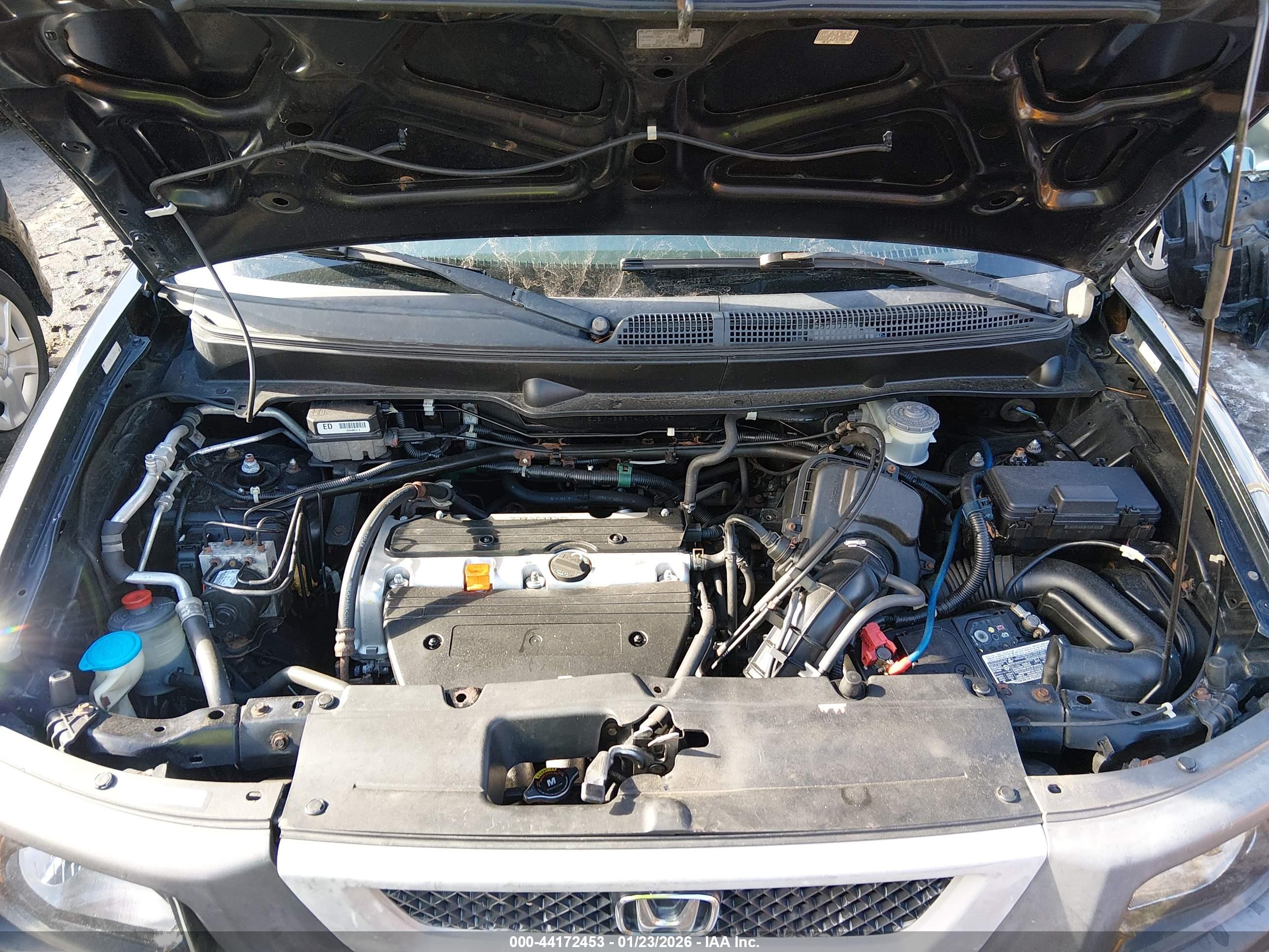 HONDA ELEMENT image 10