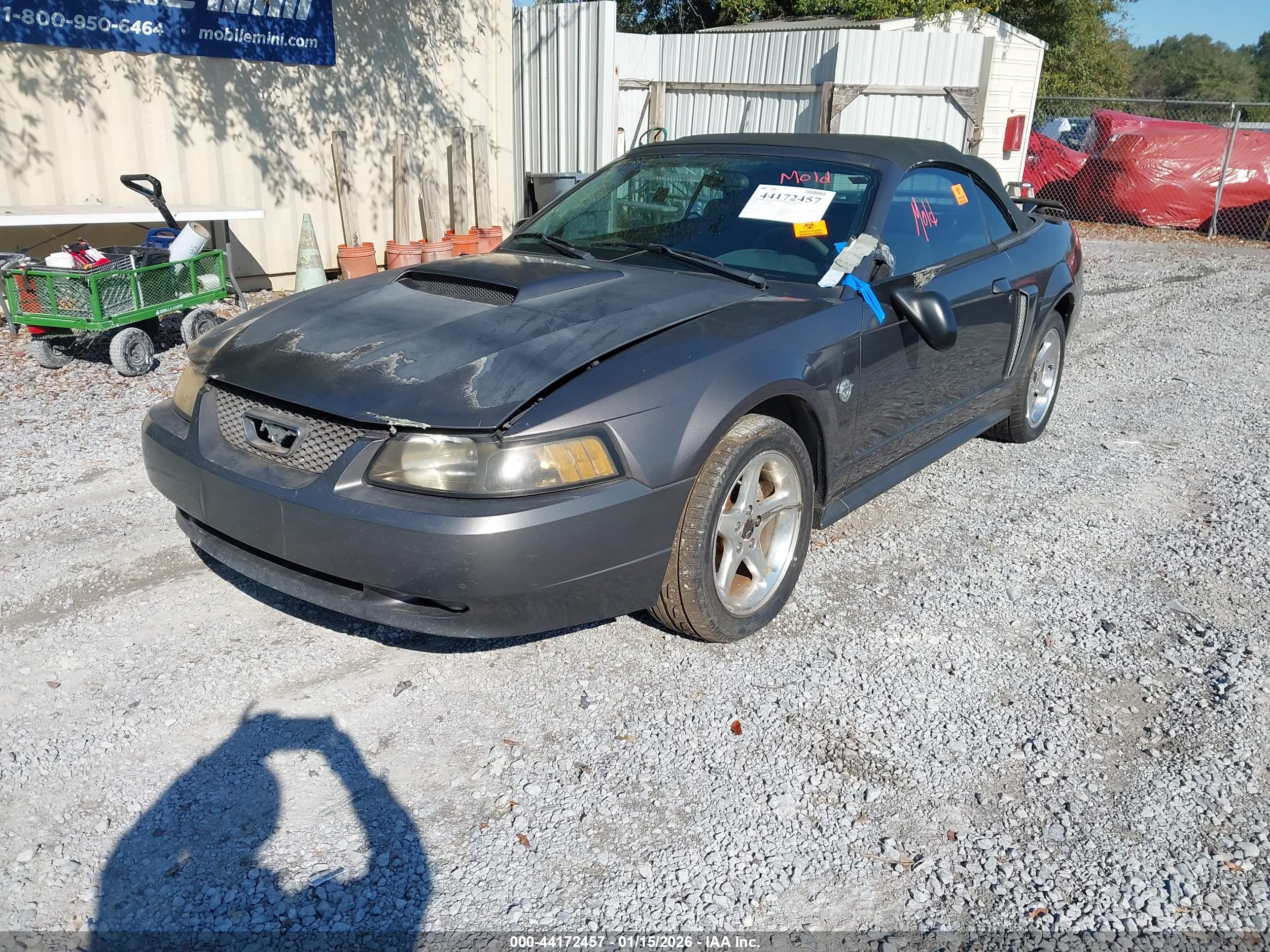 FORD MUSTANG image 2