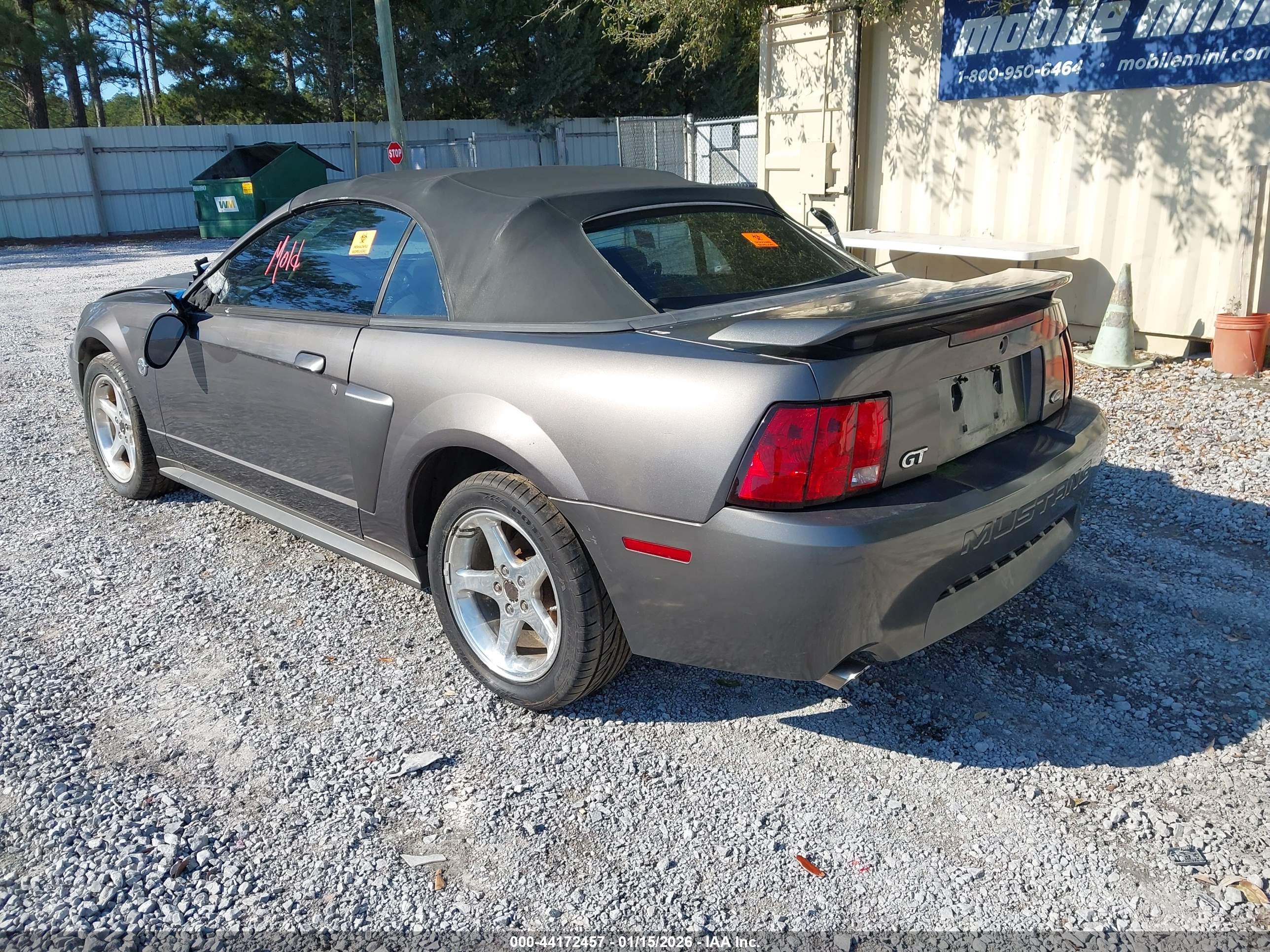 FORD MUSTANG image 3