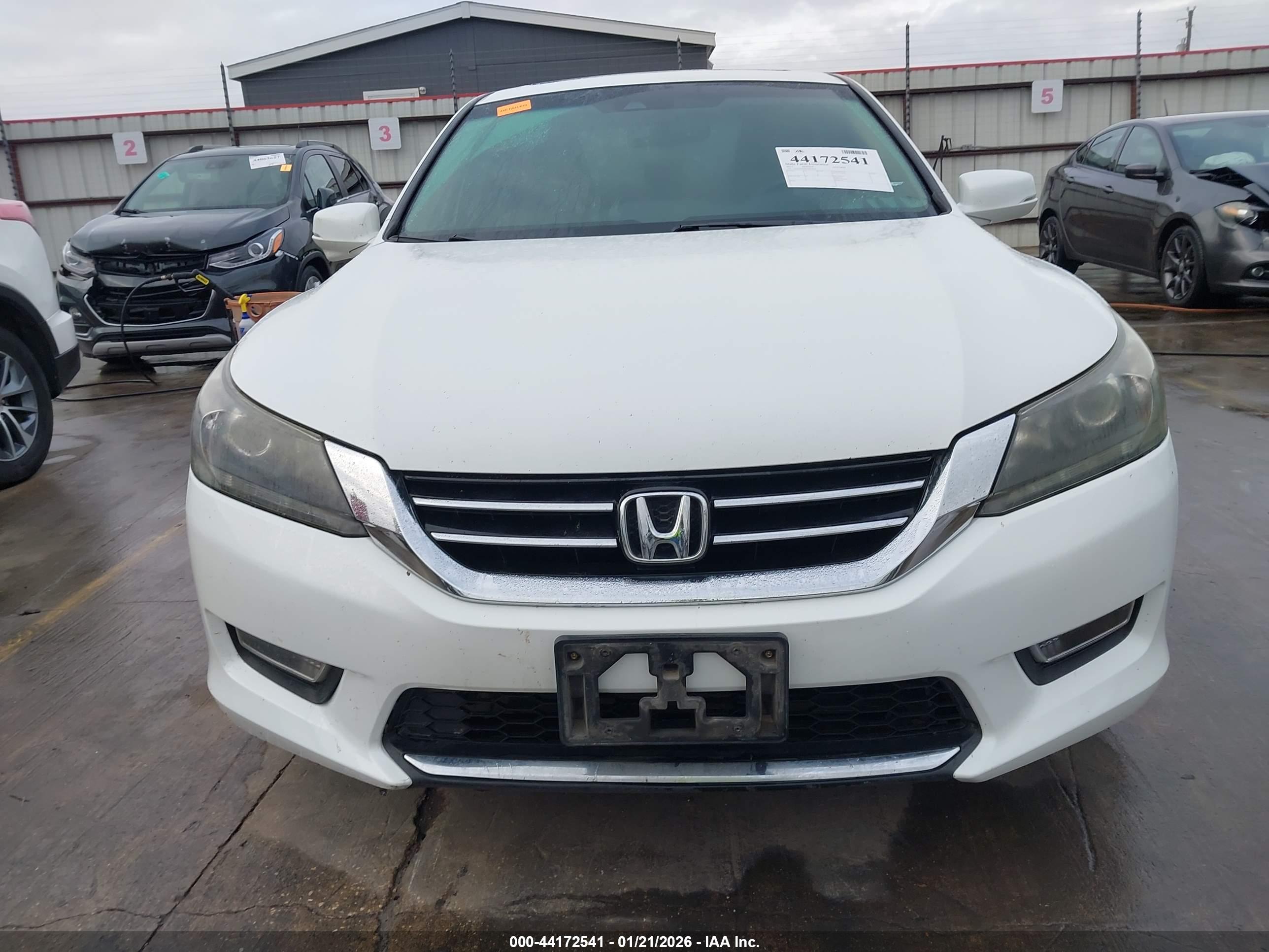 HONDA ACCORD image 6