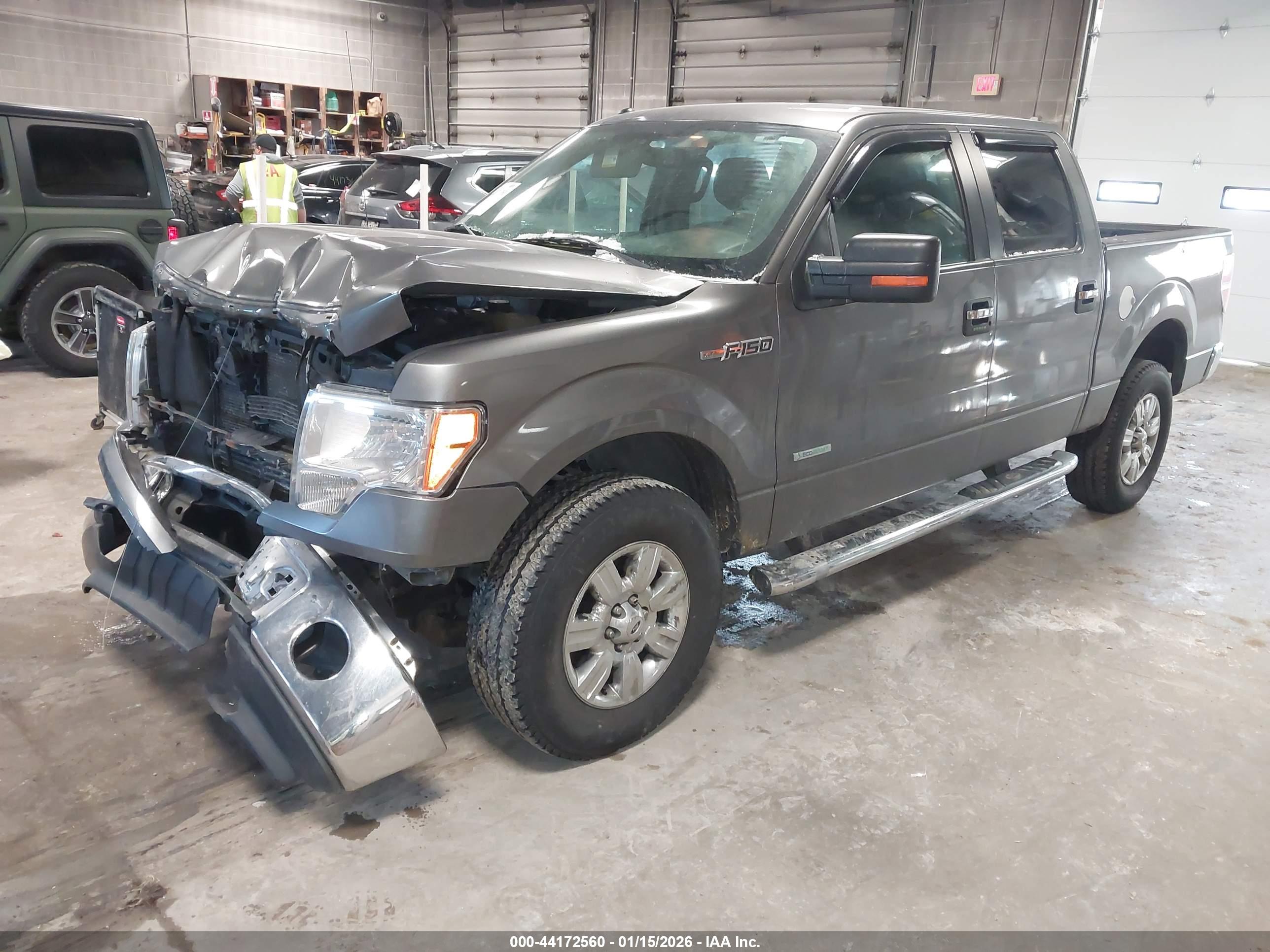 FORD F-150 image 2