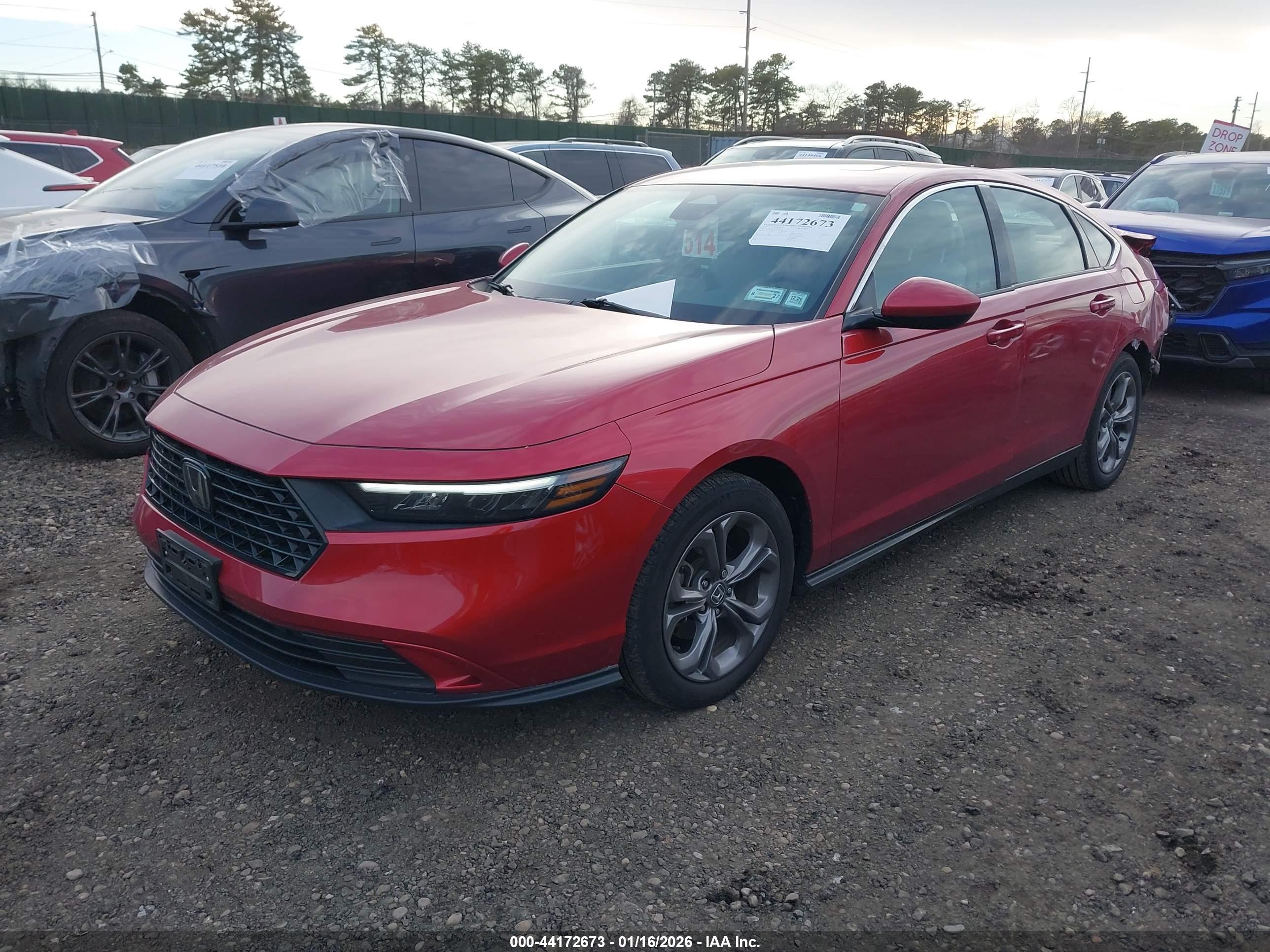 HONDA ACCORD image 2