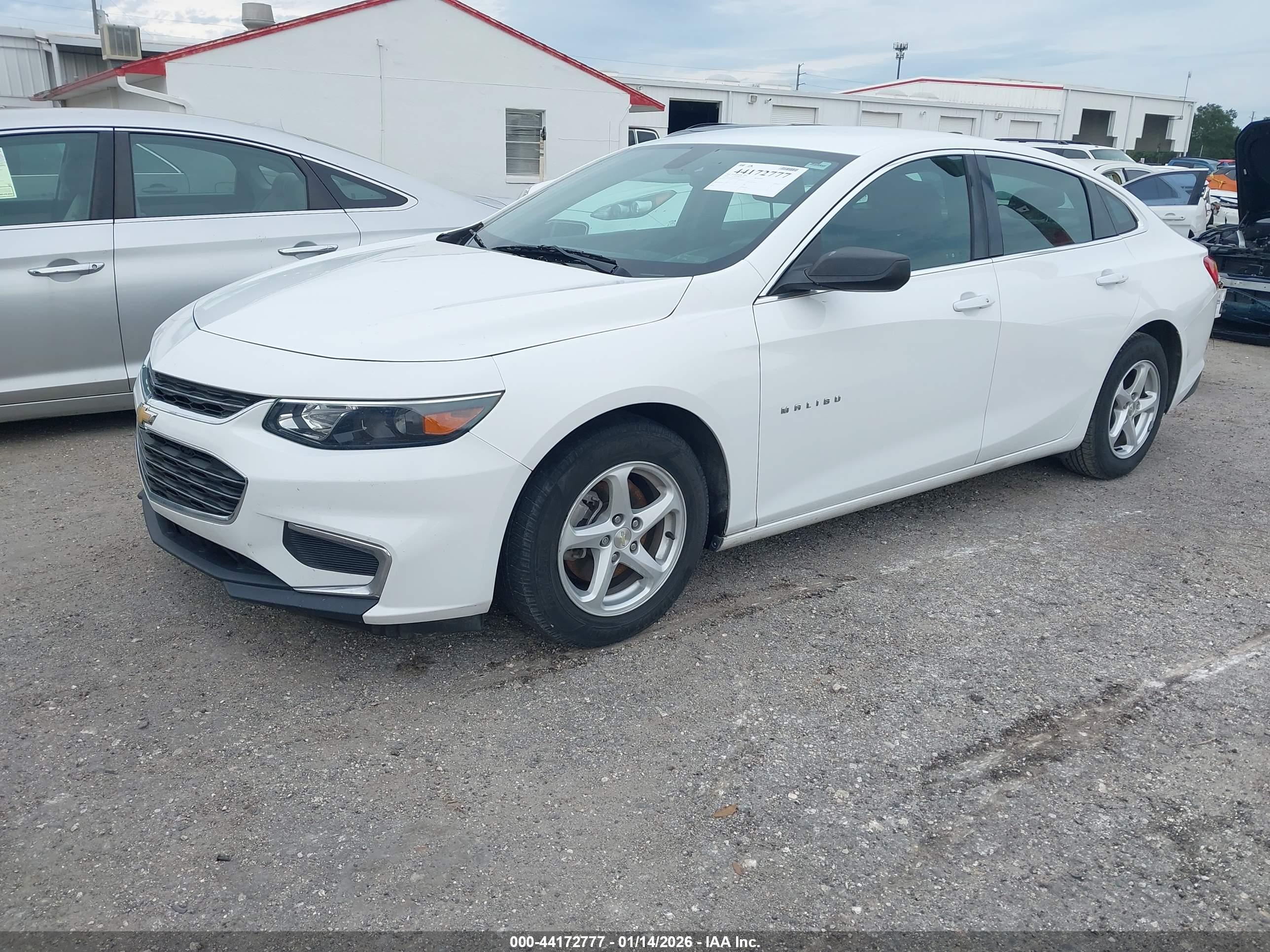 CHEVROLET MALIBU image 2