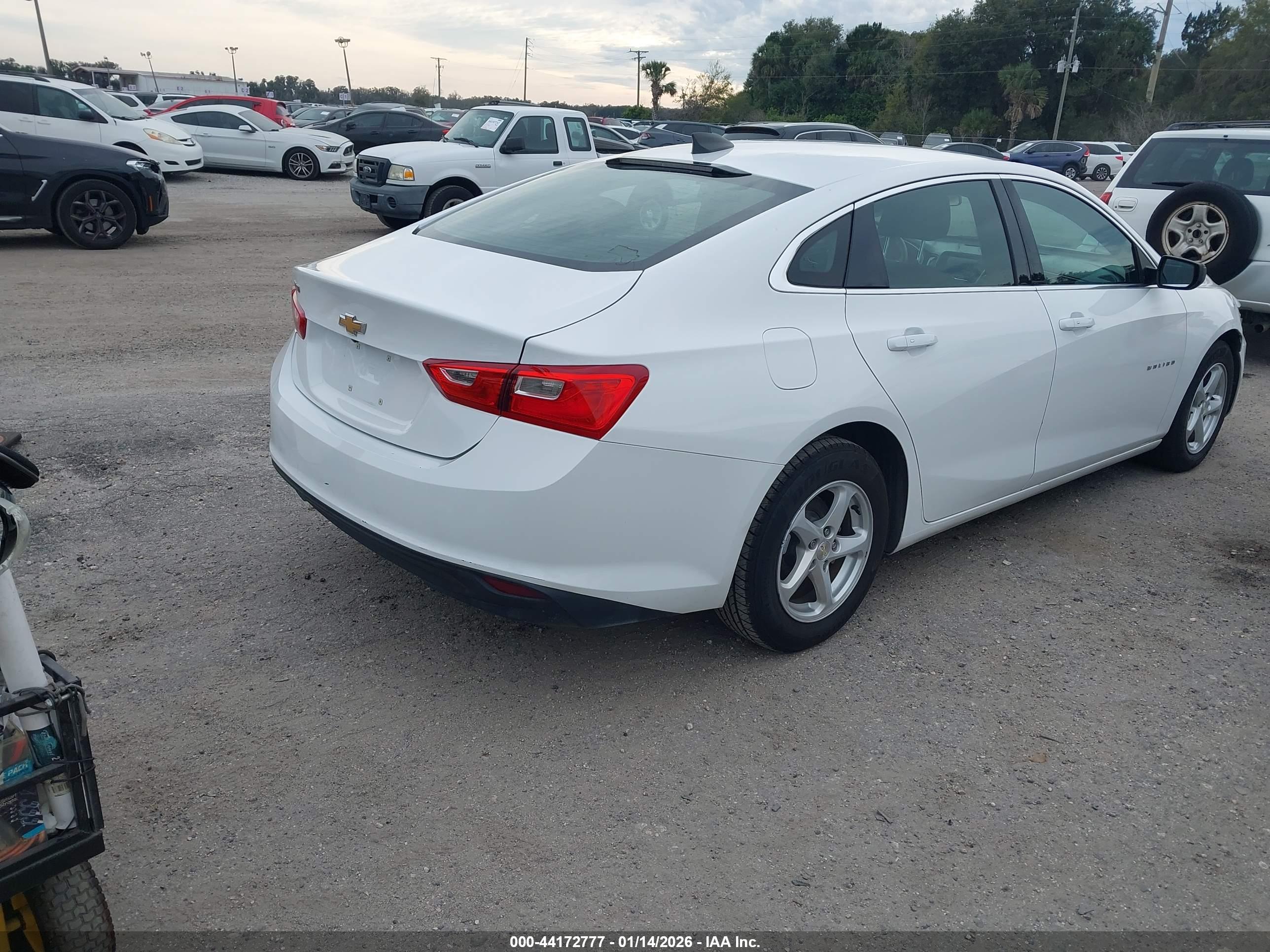 CHEVROLET MALIBU image 4