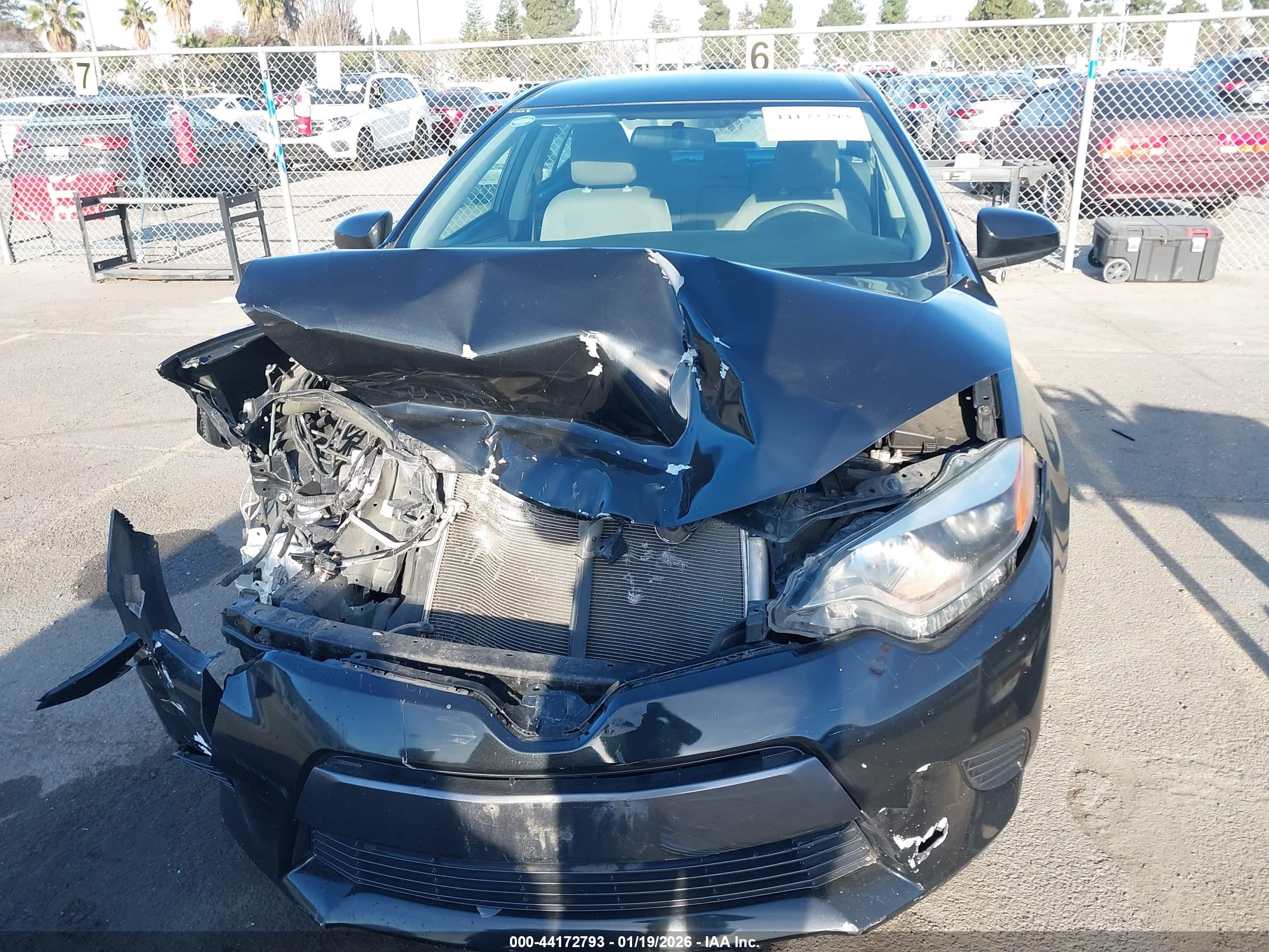 TOYOTA COROLLA image 6