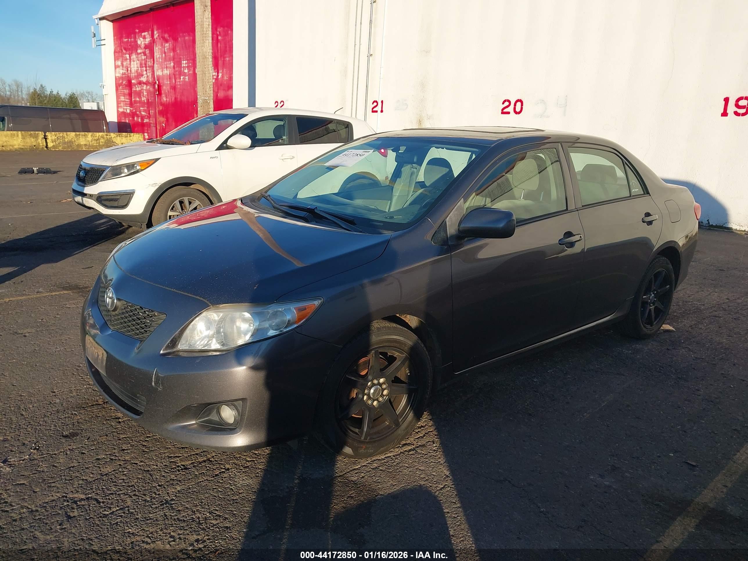 TOYOTA COROLLA image 2