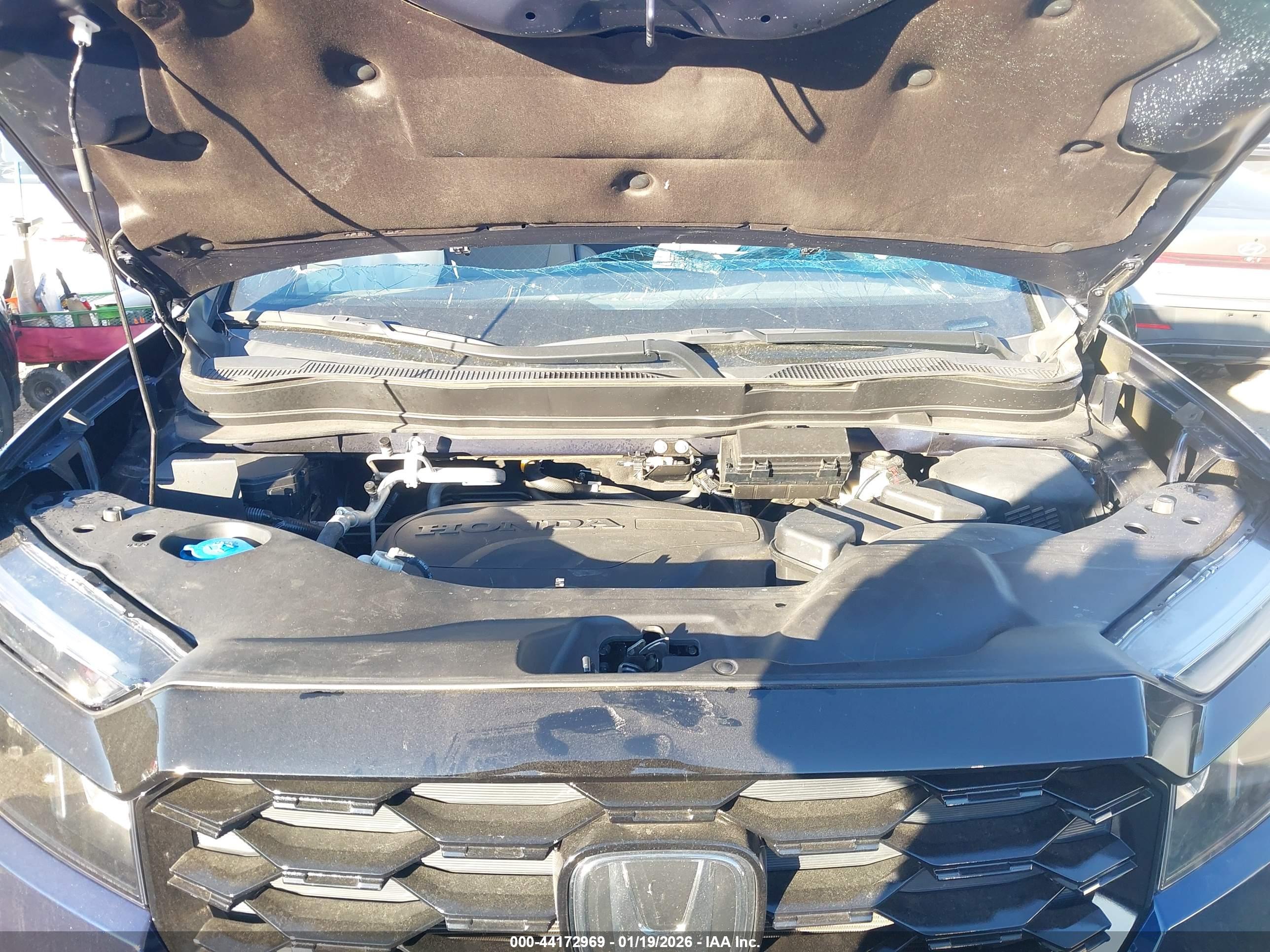HONDA PASSPORT image 10