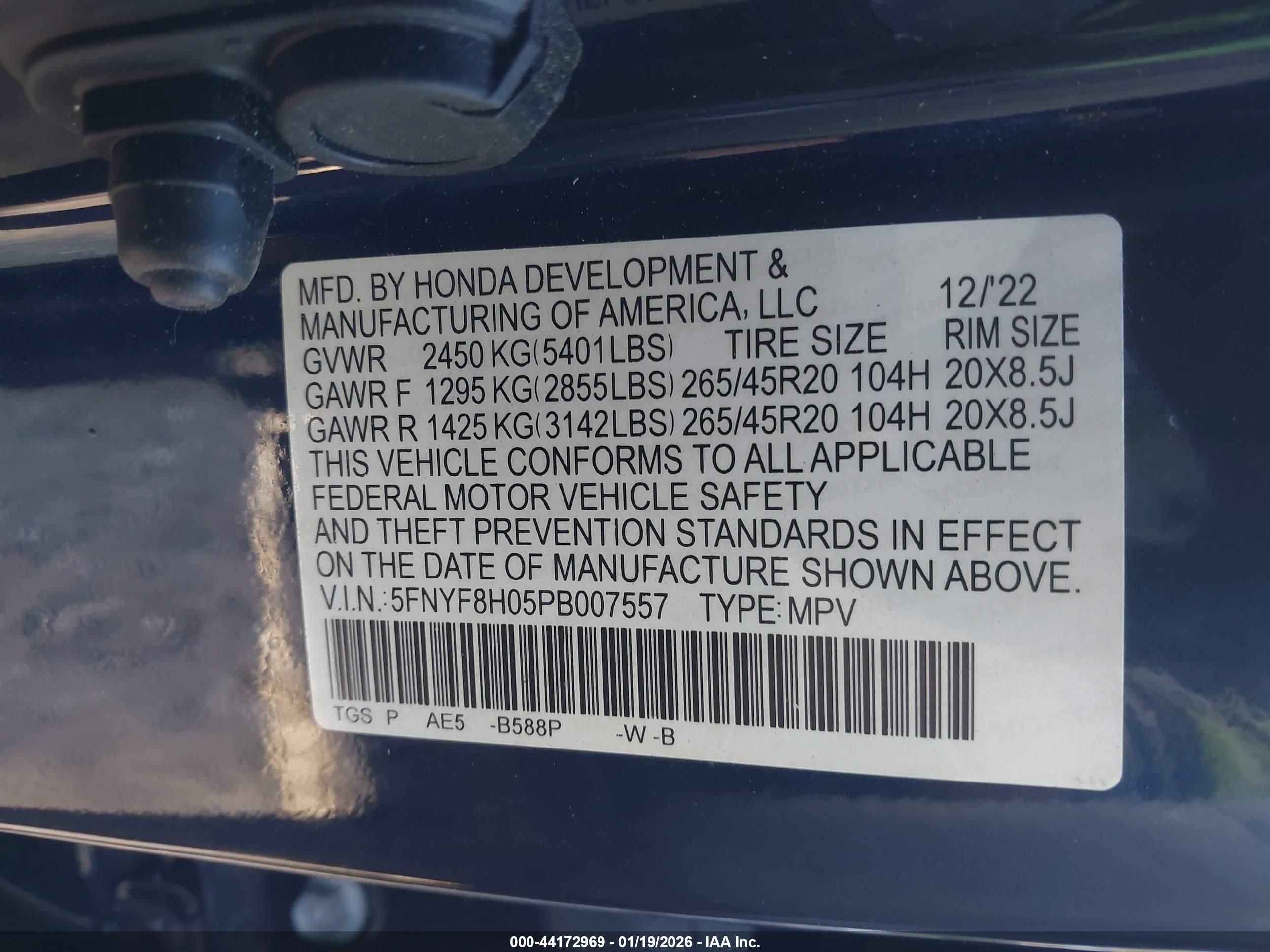 HONDA PASSPORT image 9