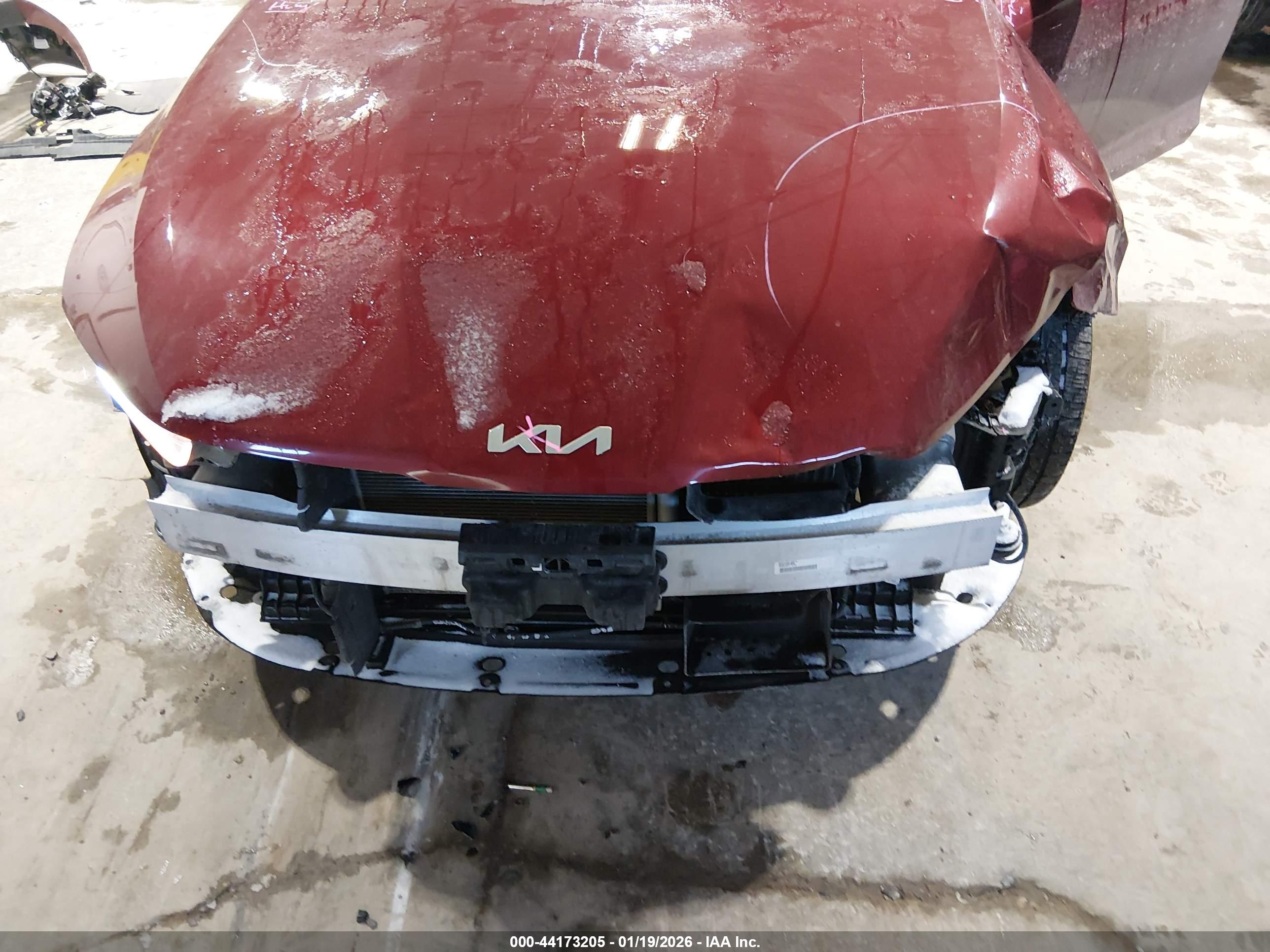 KIA K5 image 6