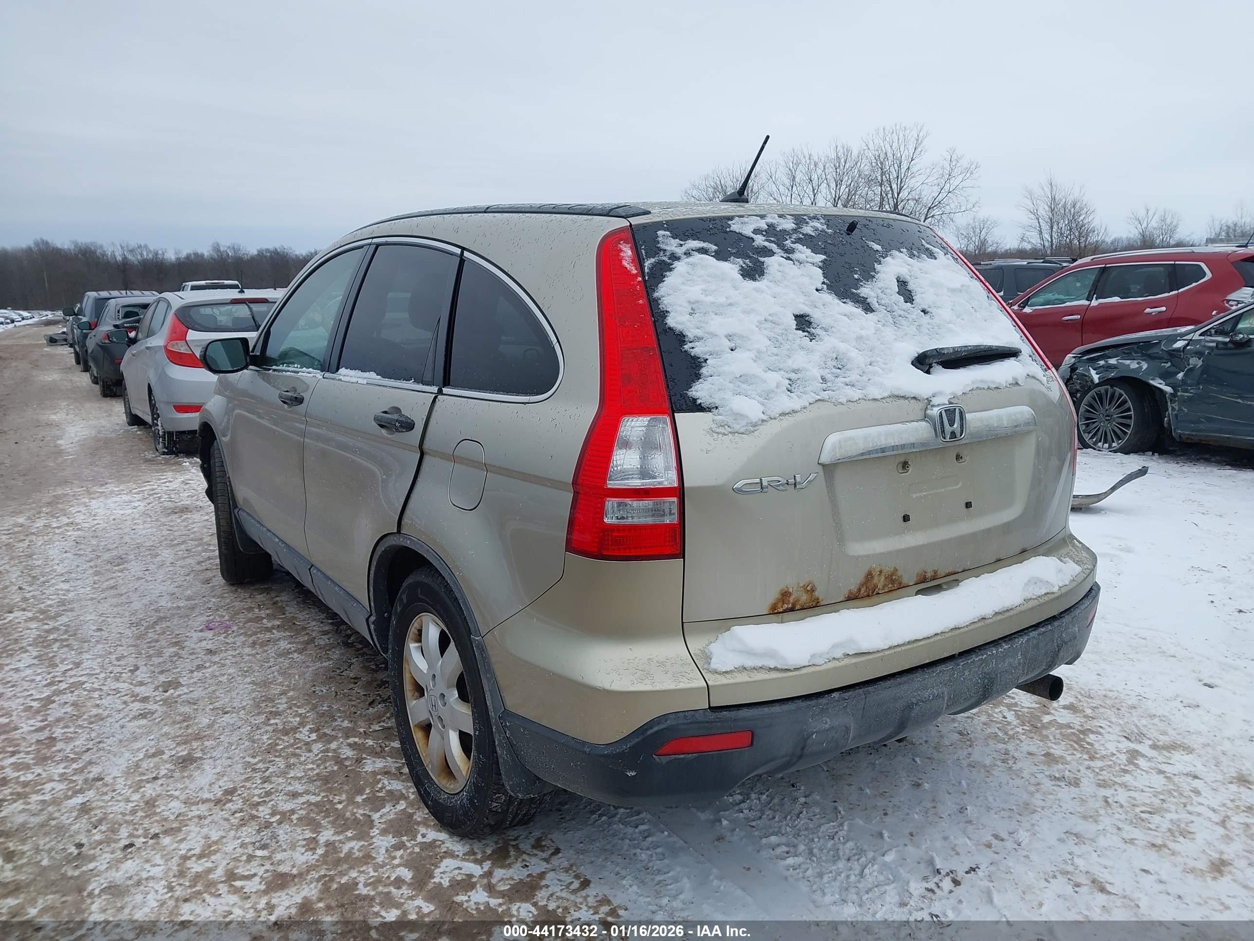 HONDA CR-V image 3