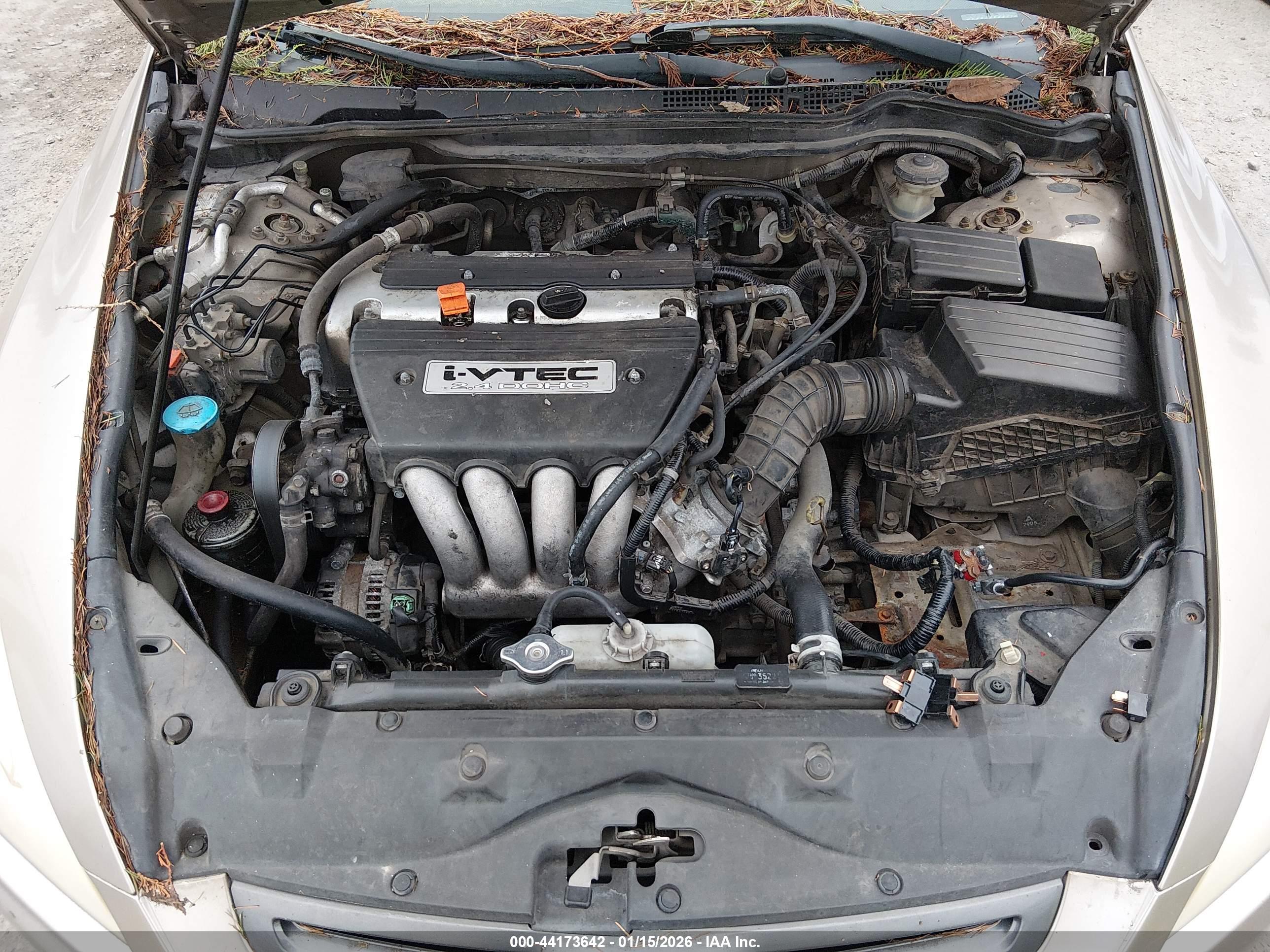 HONDA ACCORD image 10