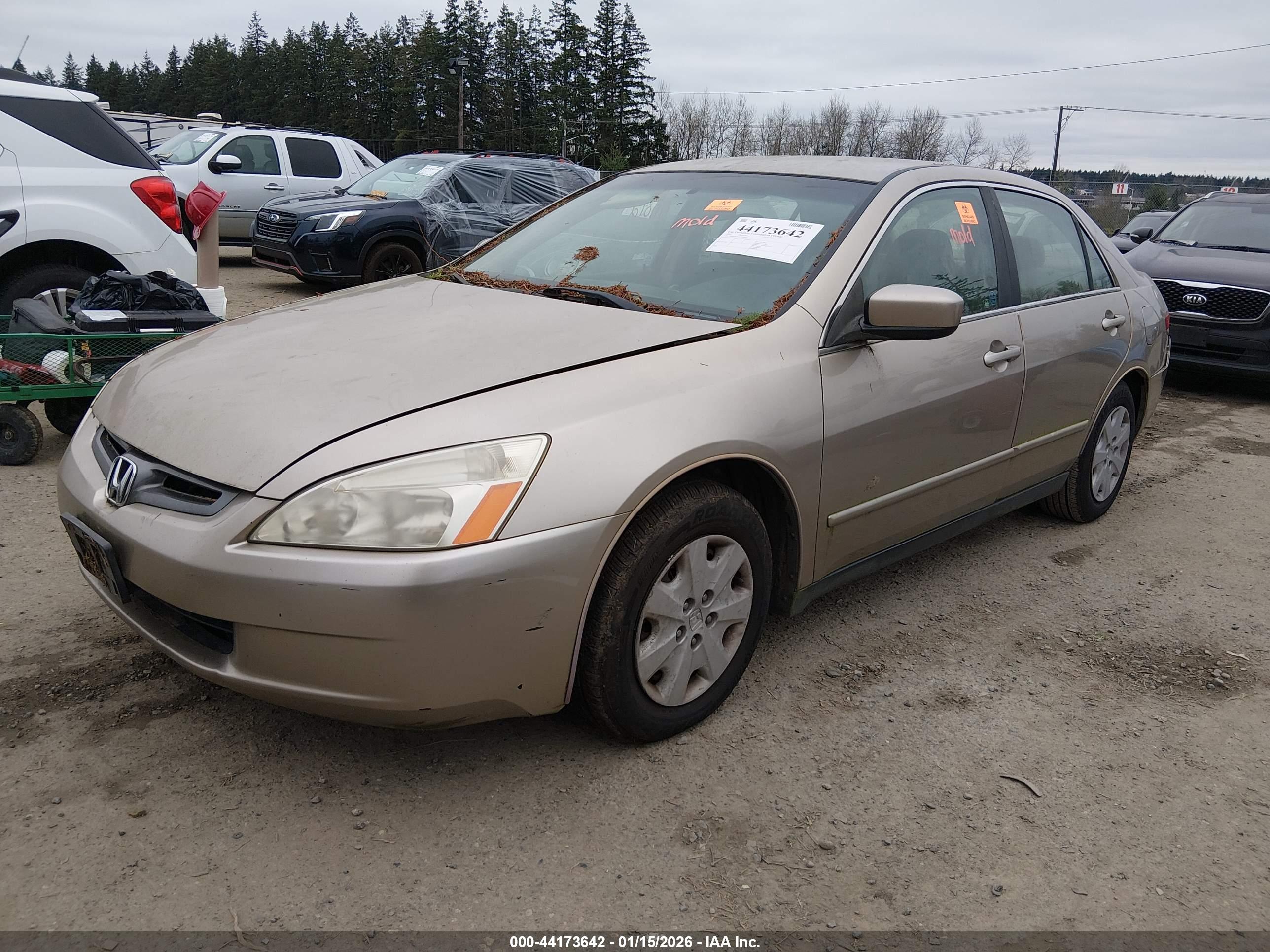 HONDA ACCORD image 2