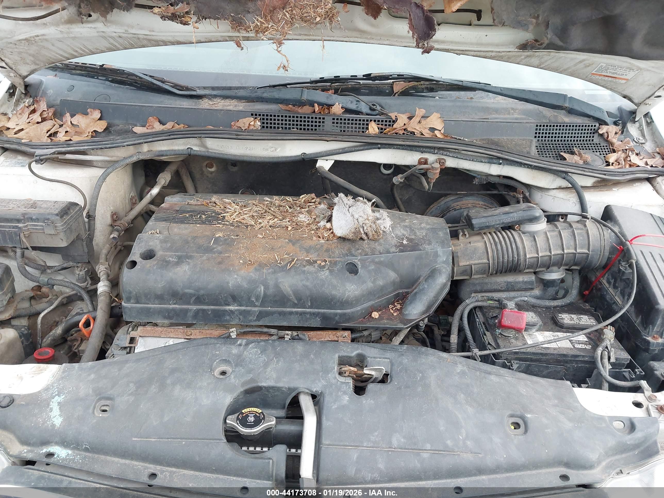 HONDA ODYSSEY image 10