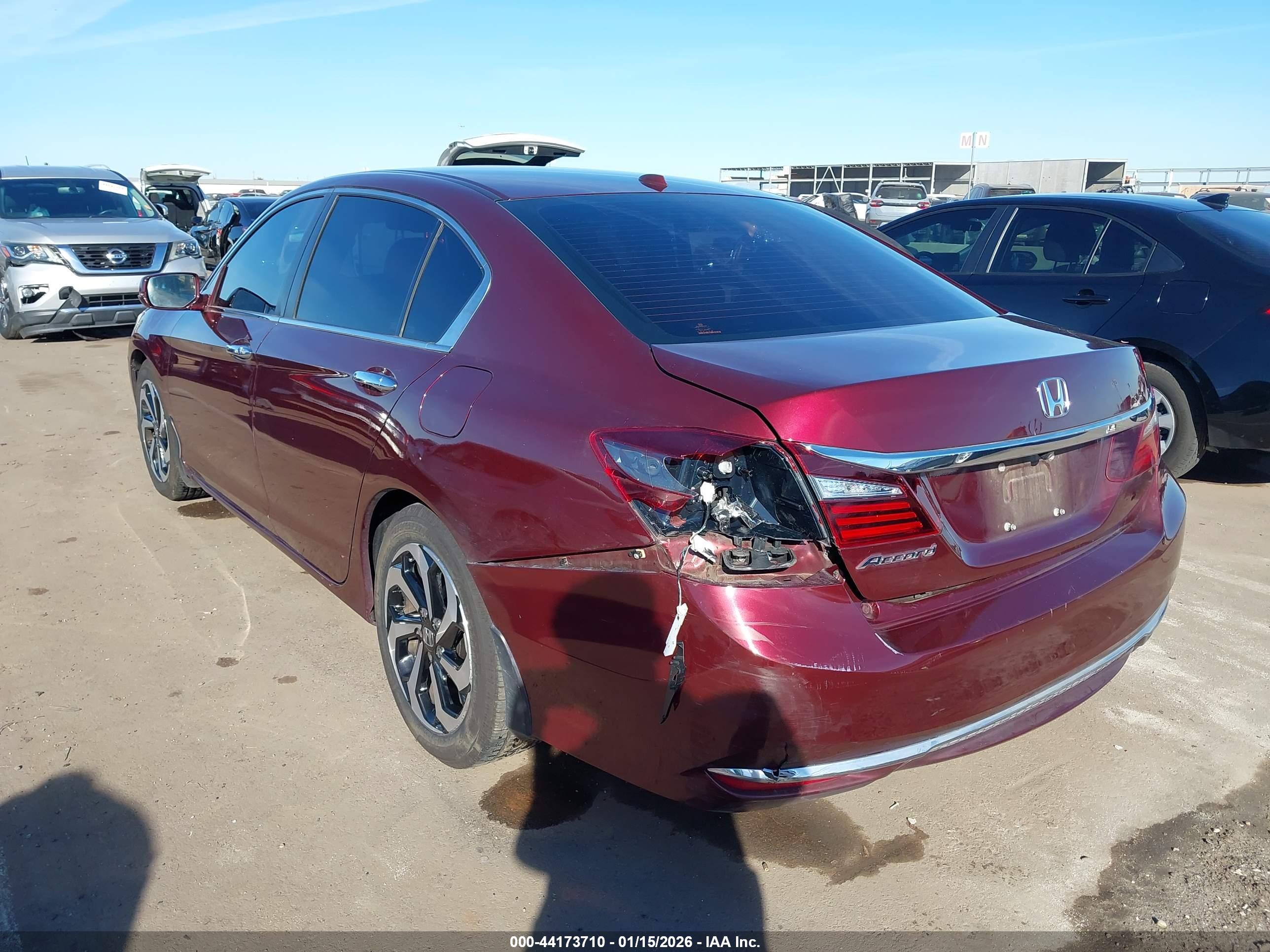 HONDA ACCORD image 3
