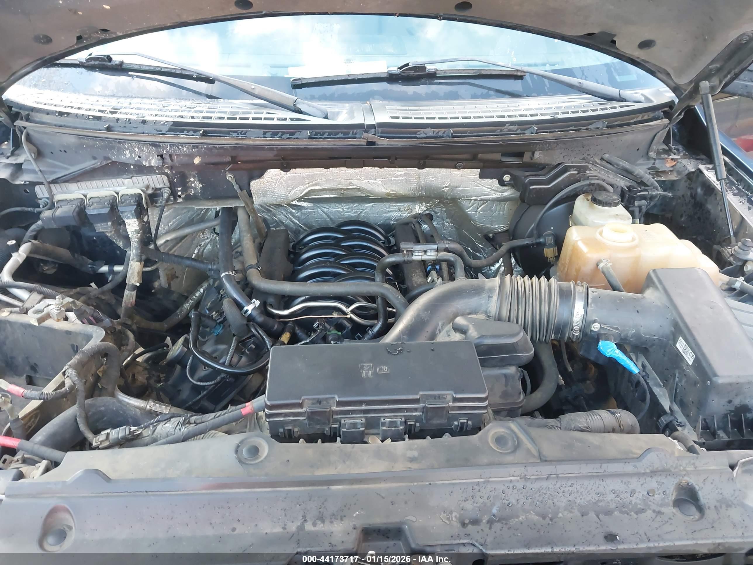 FORD F-150 image 10