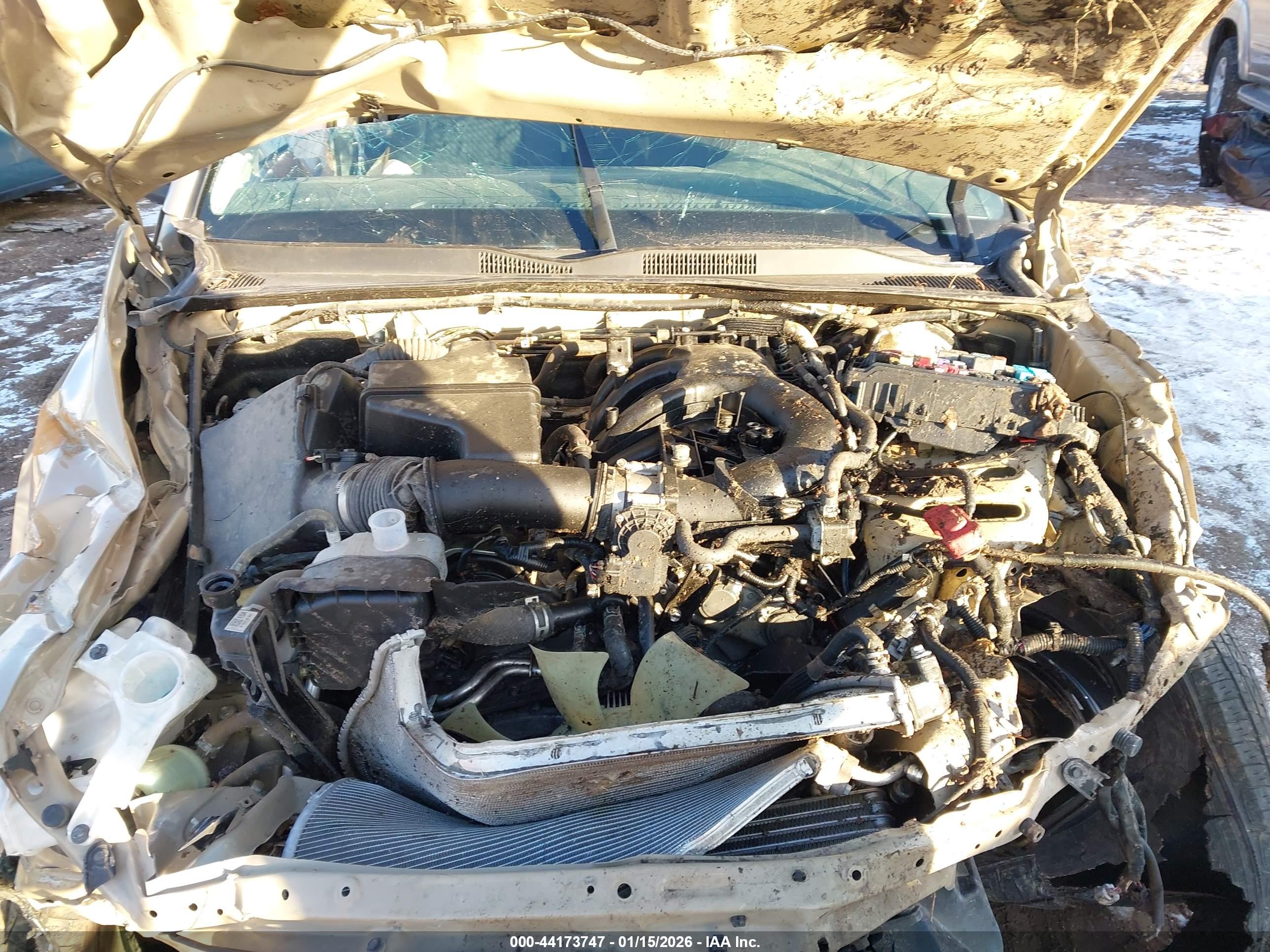 TOYOTA TACOMA image 10
