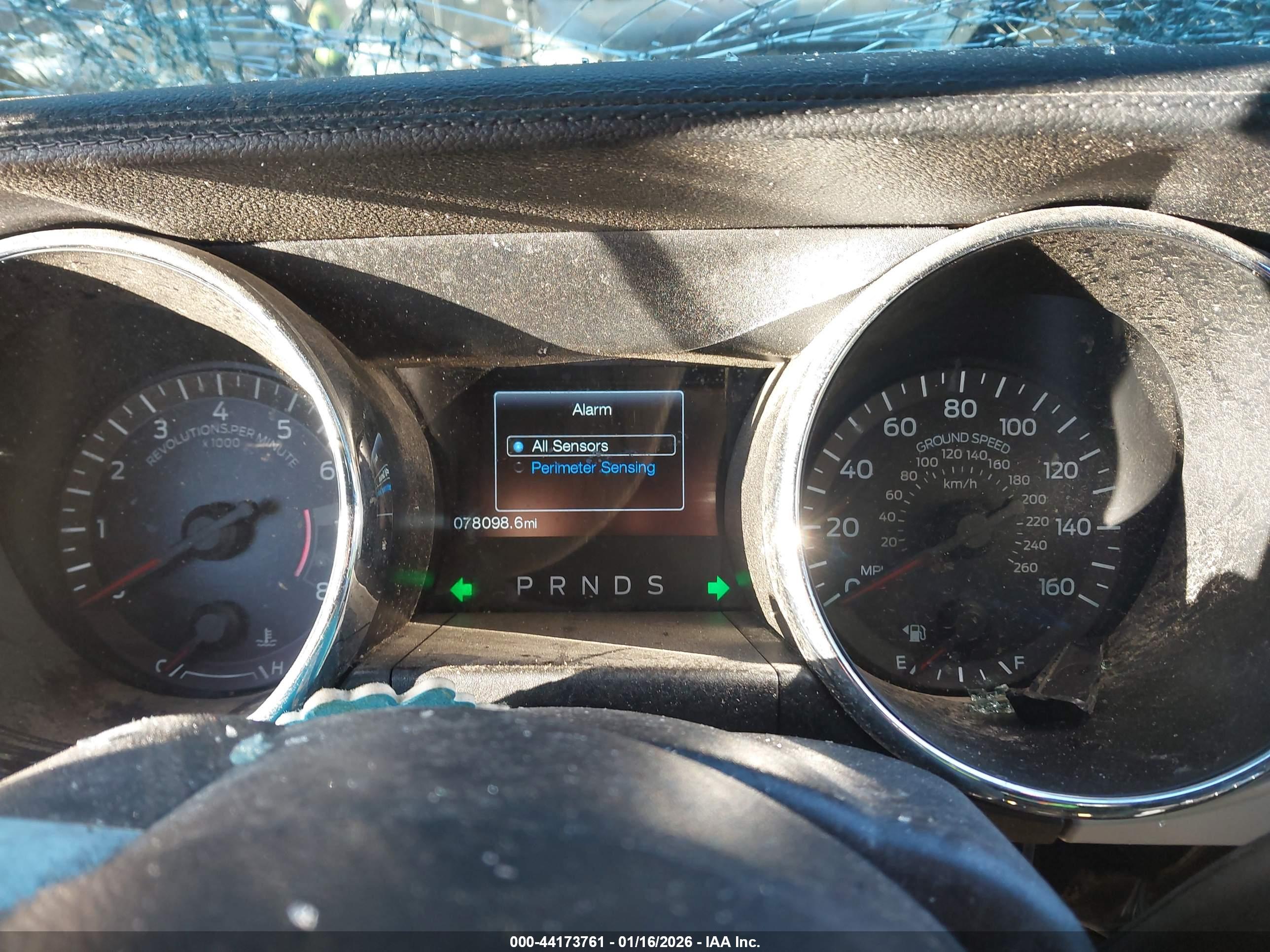 FORD MUSTANG image 7