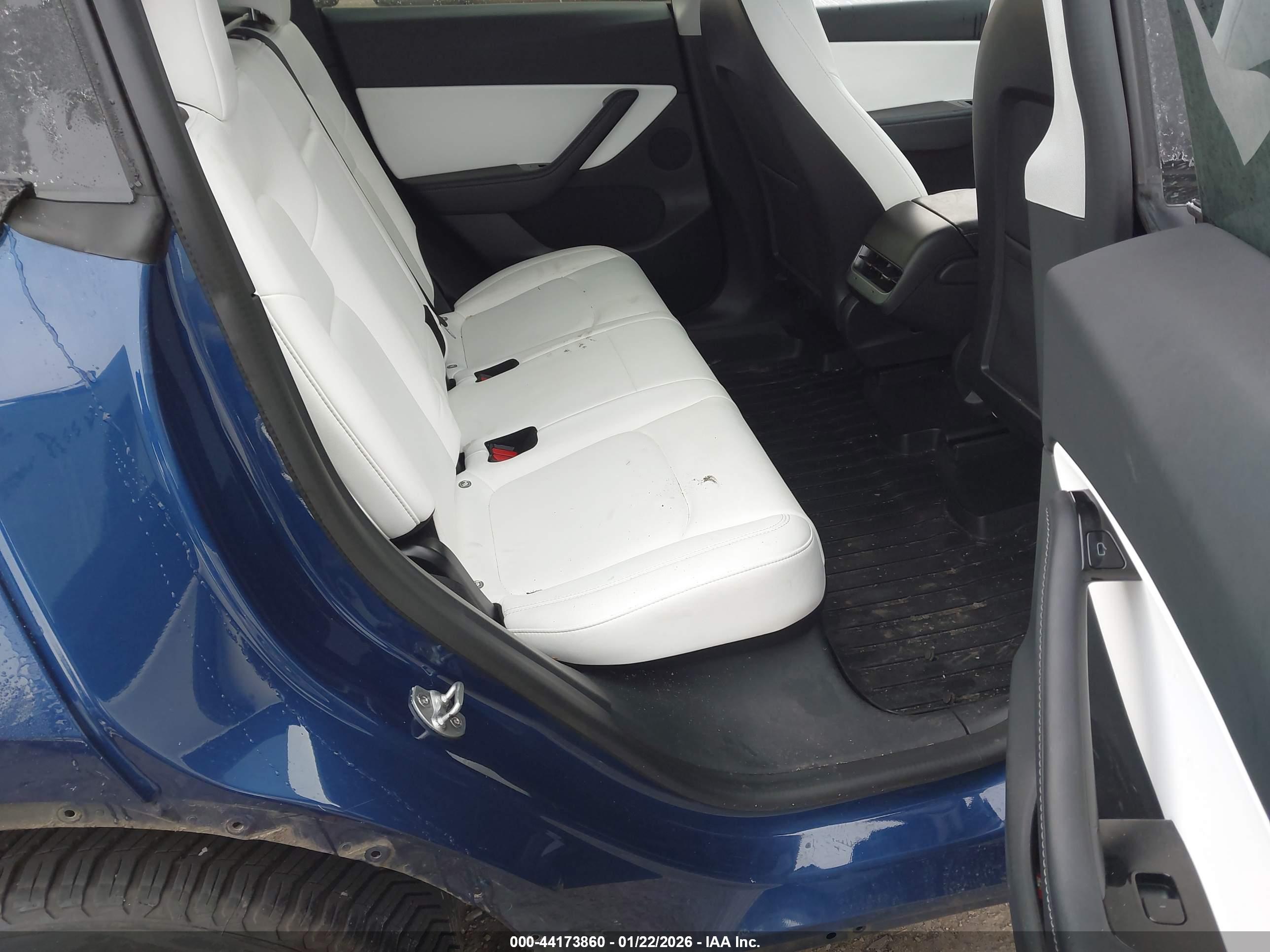TESLA MODEL image 8