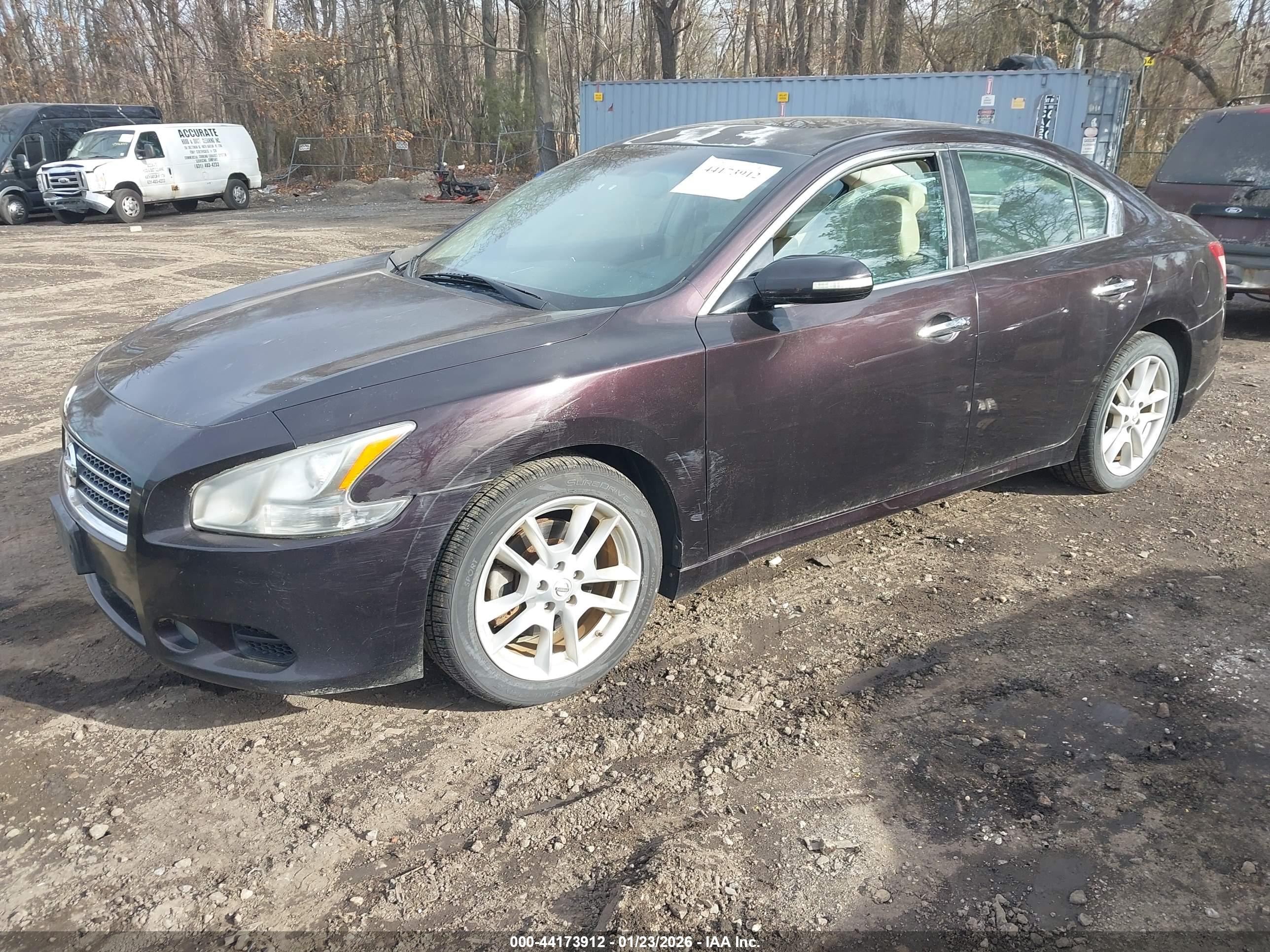 NISSAN MAXIMA image 2