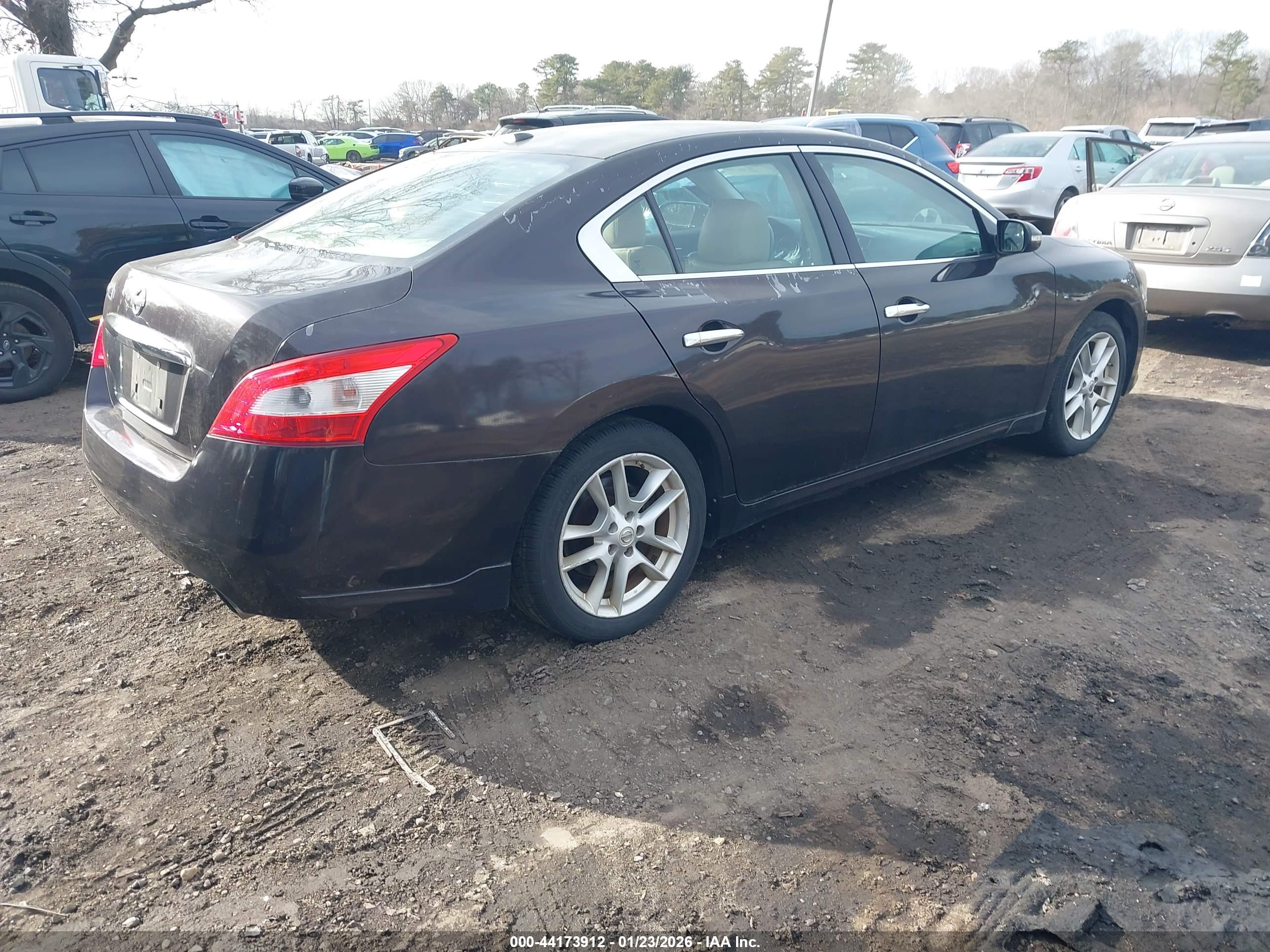 NISSAN MAXIMA image 4
