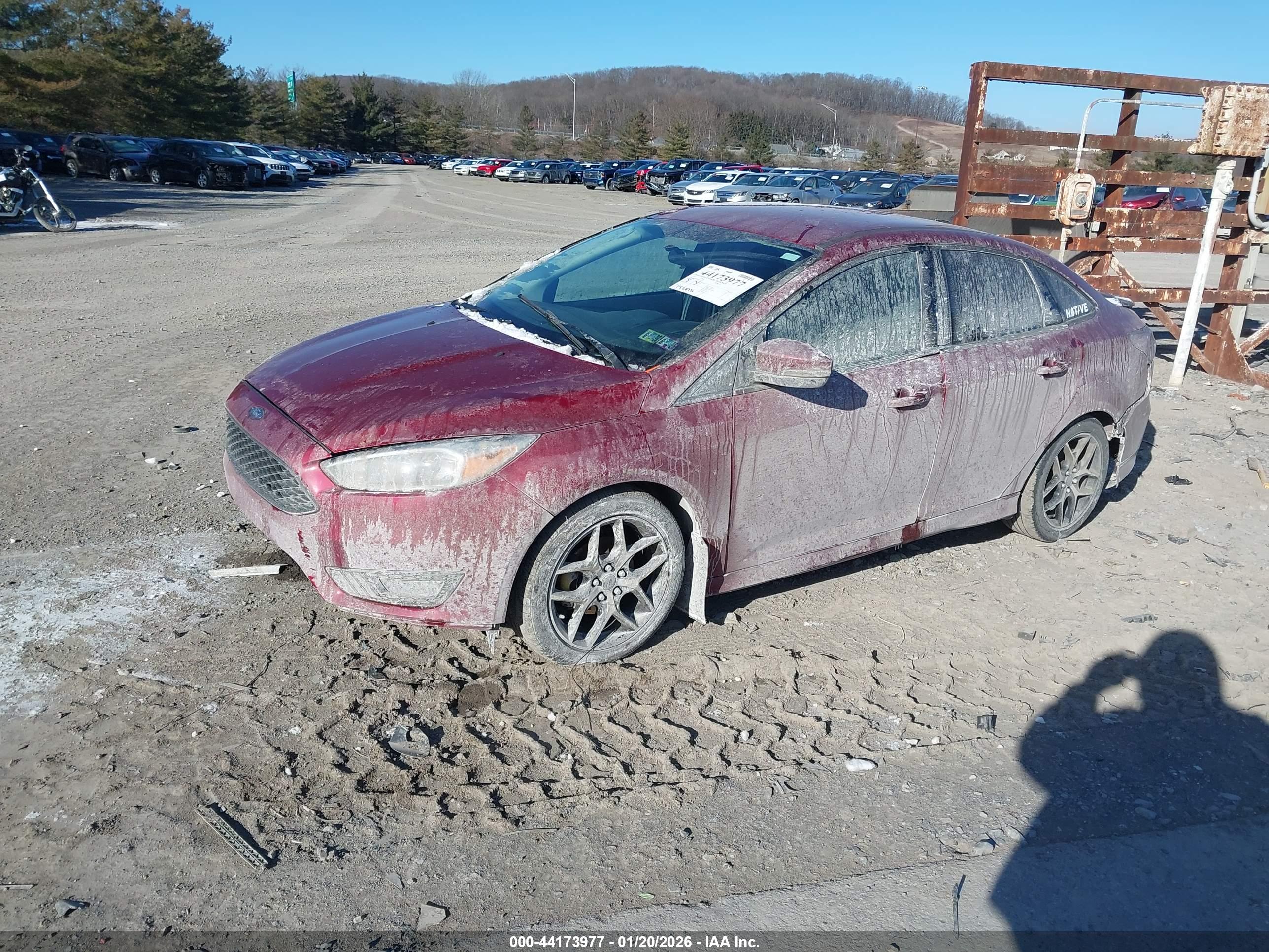 FORD FOCUS image 2
