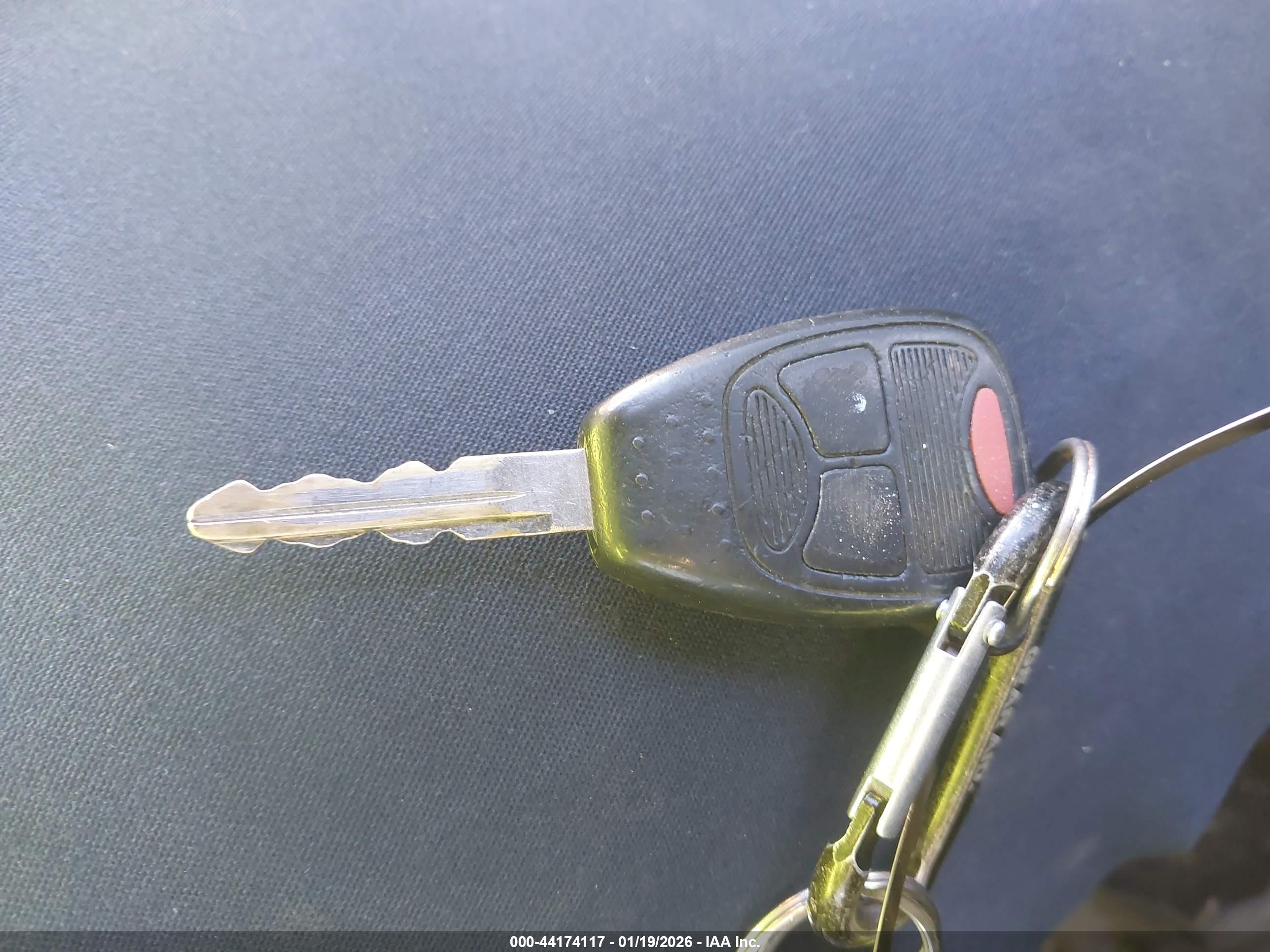 JEEP WRANGLER image 11
