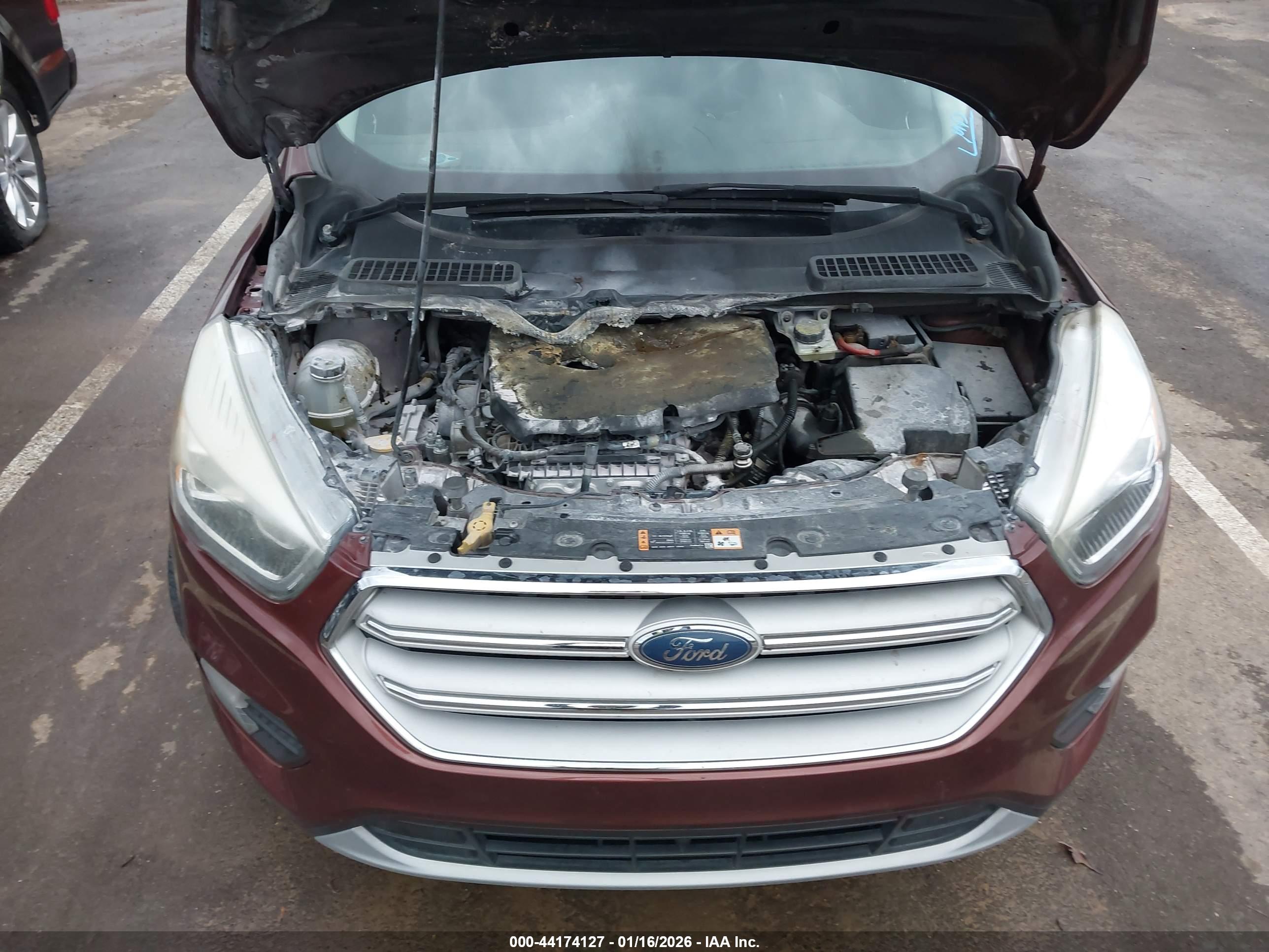 FORD ESCAPE image 6
