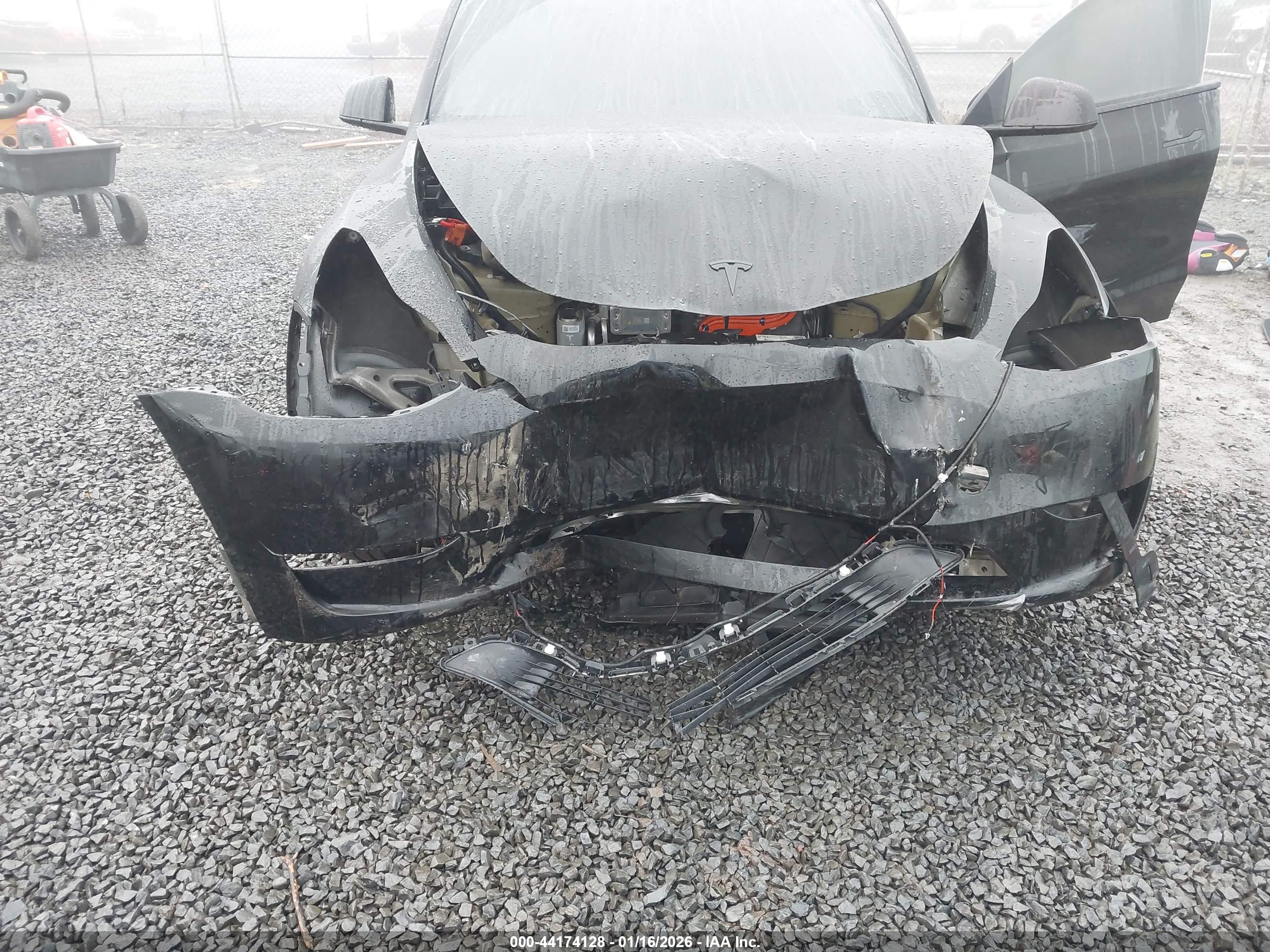 TESLA MODEL image 6