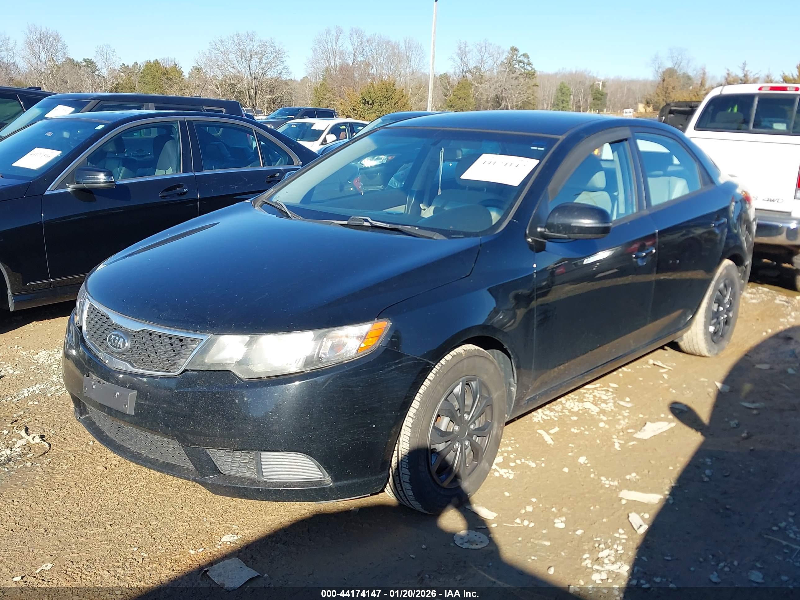 KIA FORTE image 2