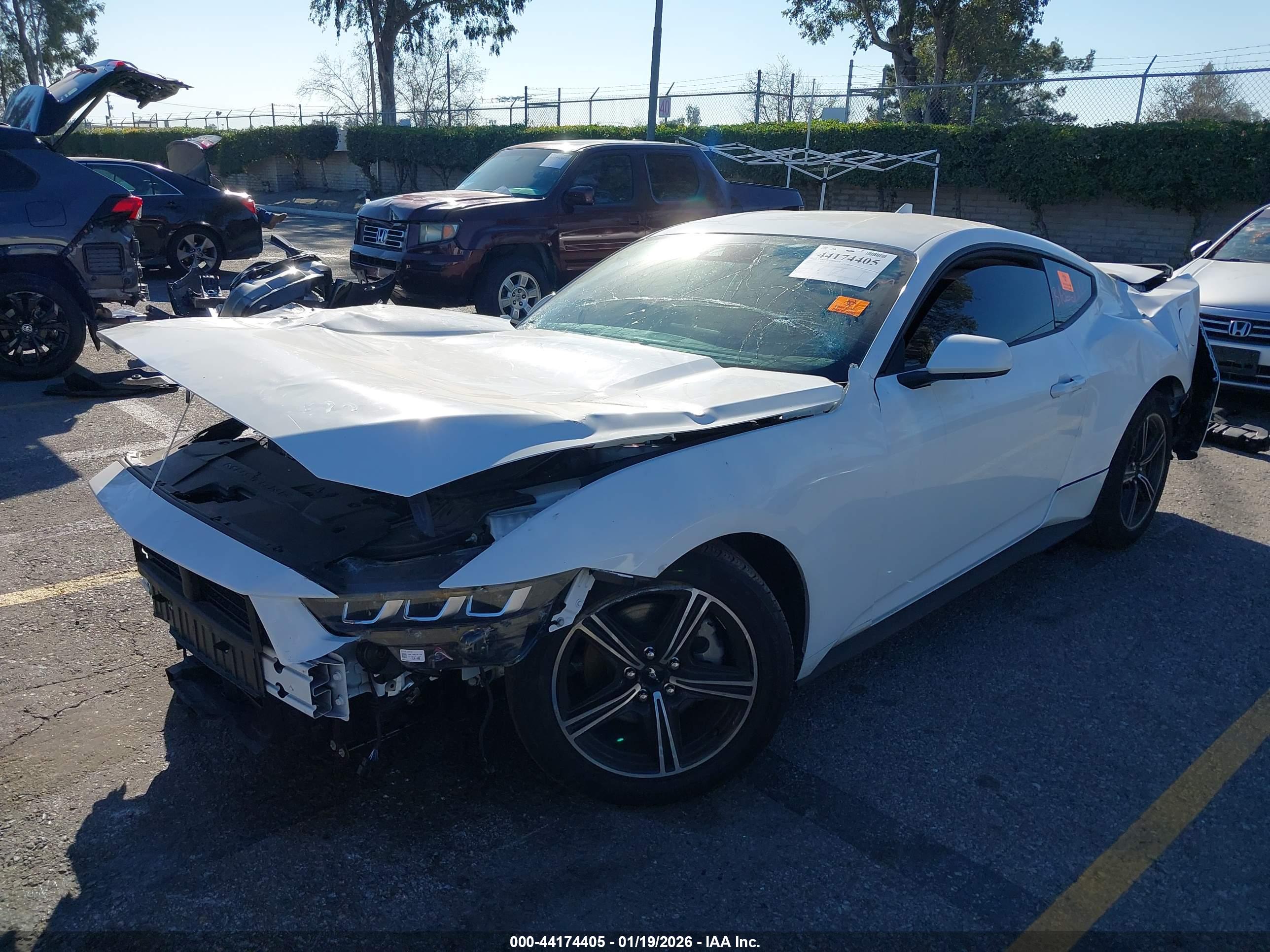 FORD MUSTANG image 2