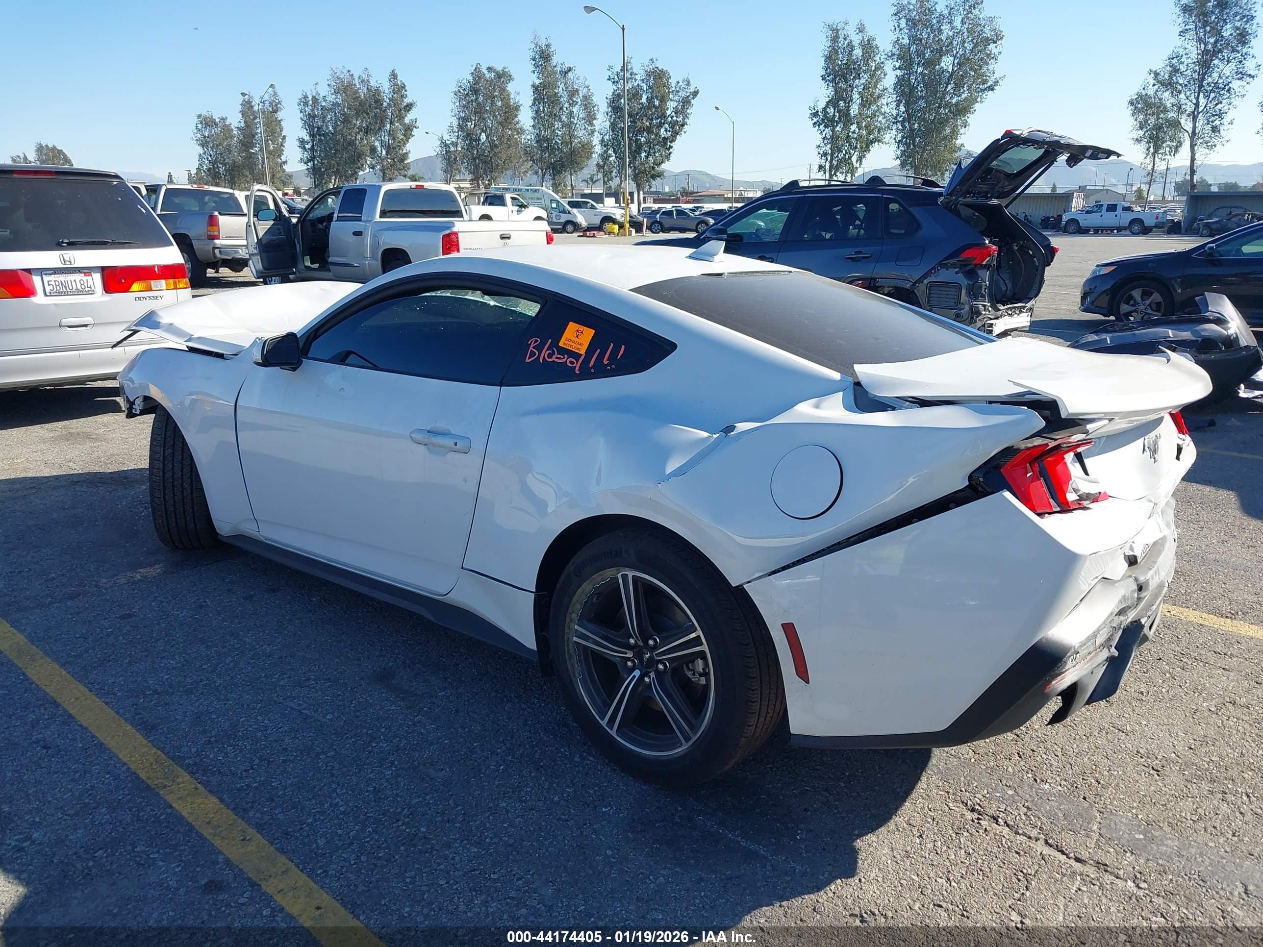 FORD MUSTANG image 3