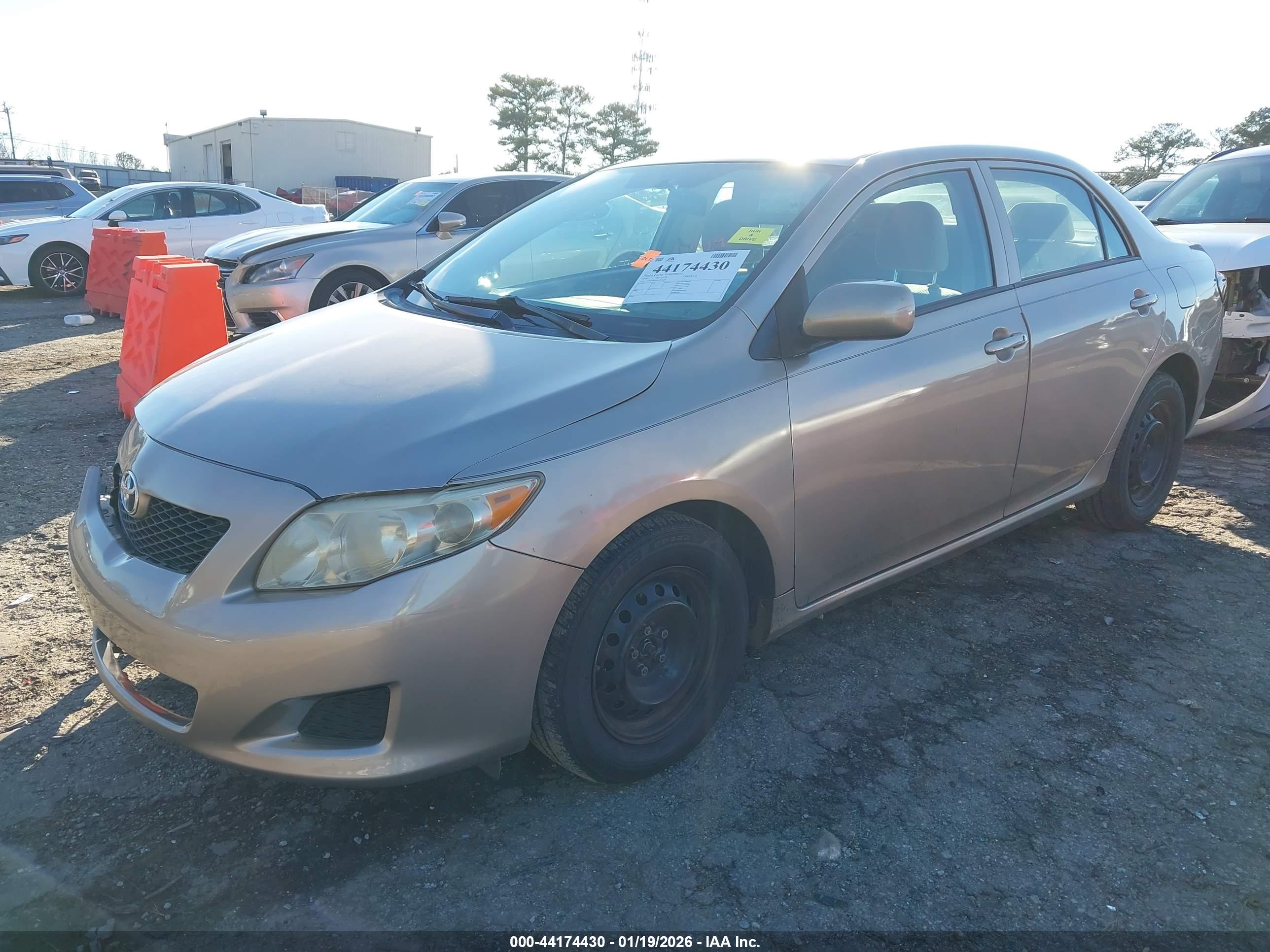 TOYOTA COROLLA image 2