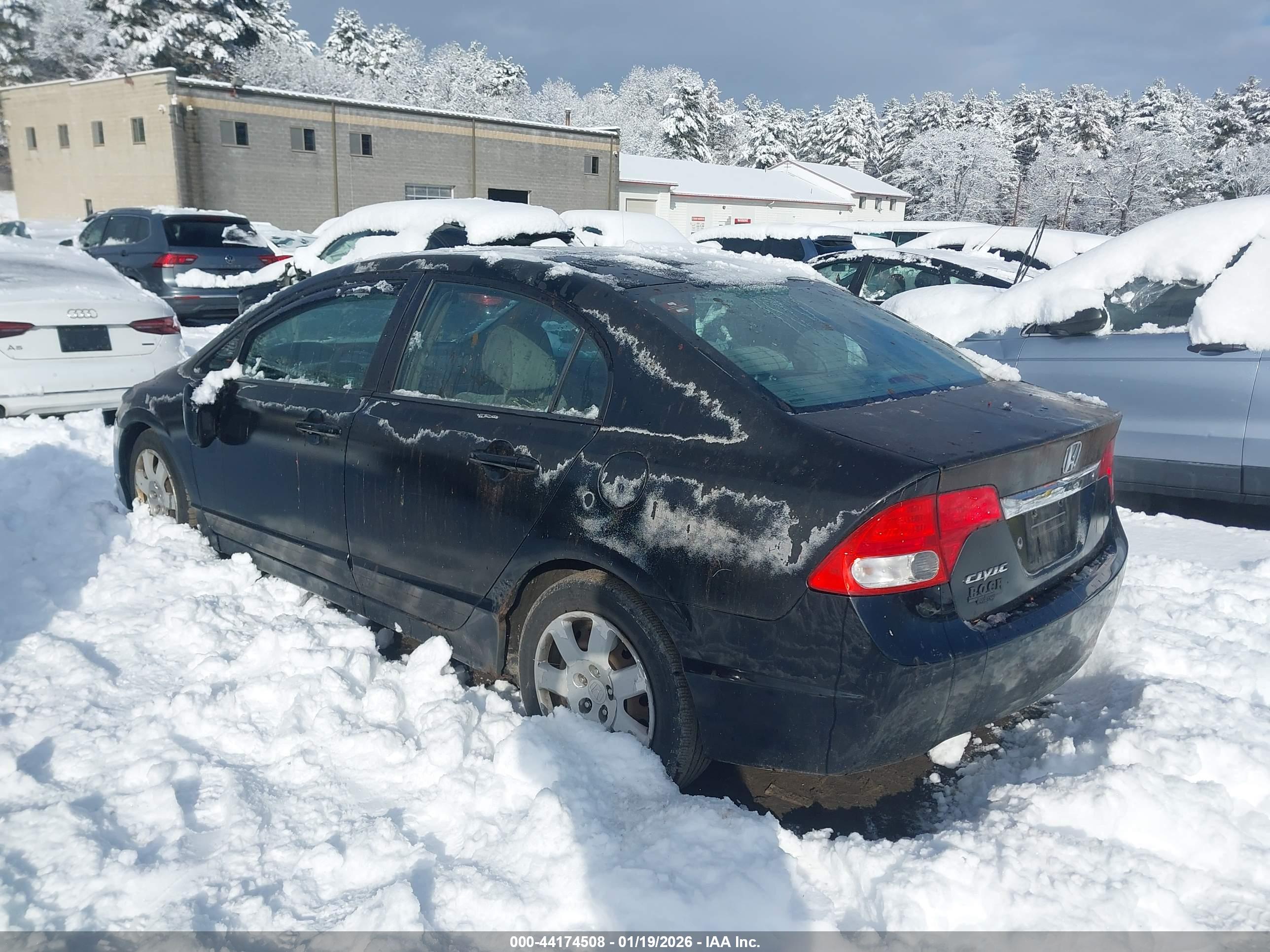 HONDA CIVIC image 3