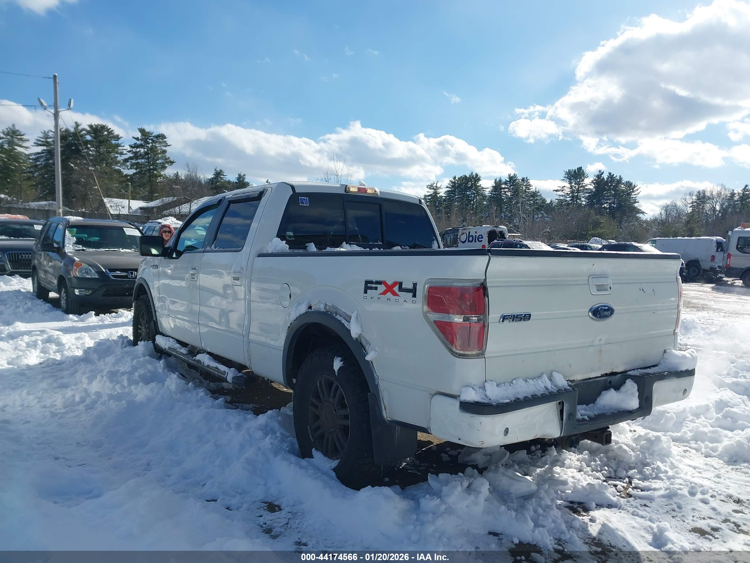 FORD F-150 image 3