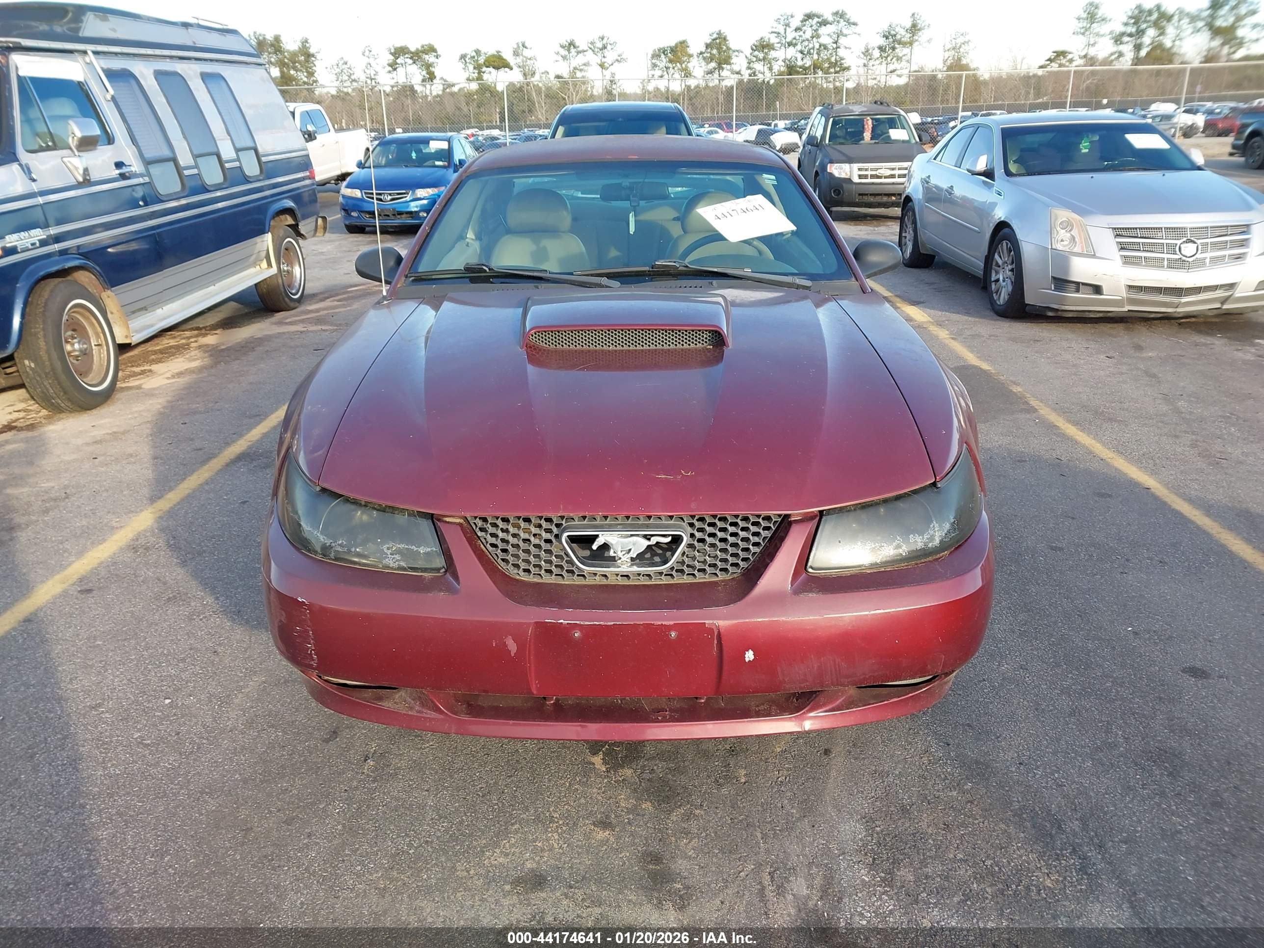 FORD MUSTANG image 6