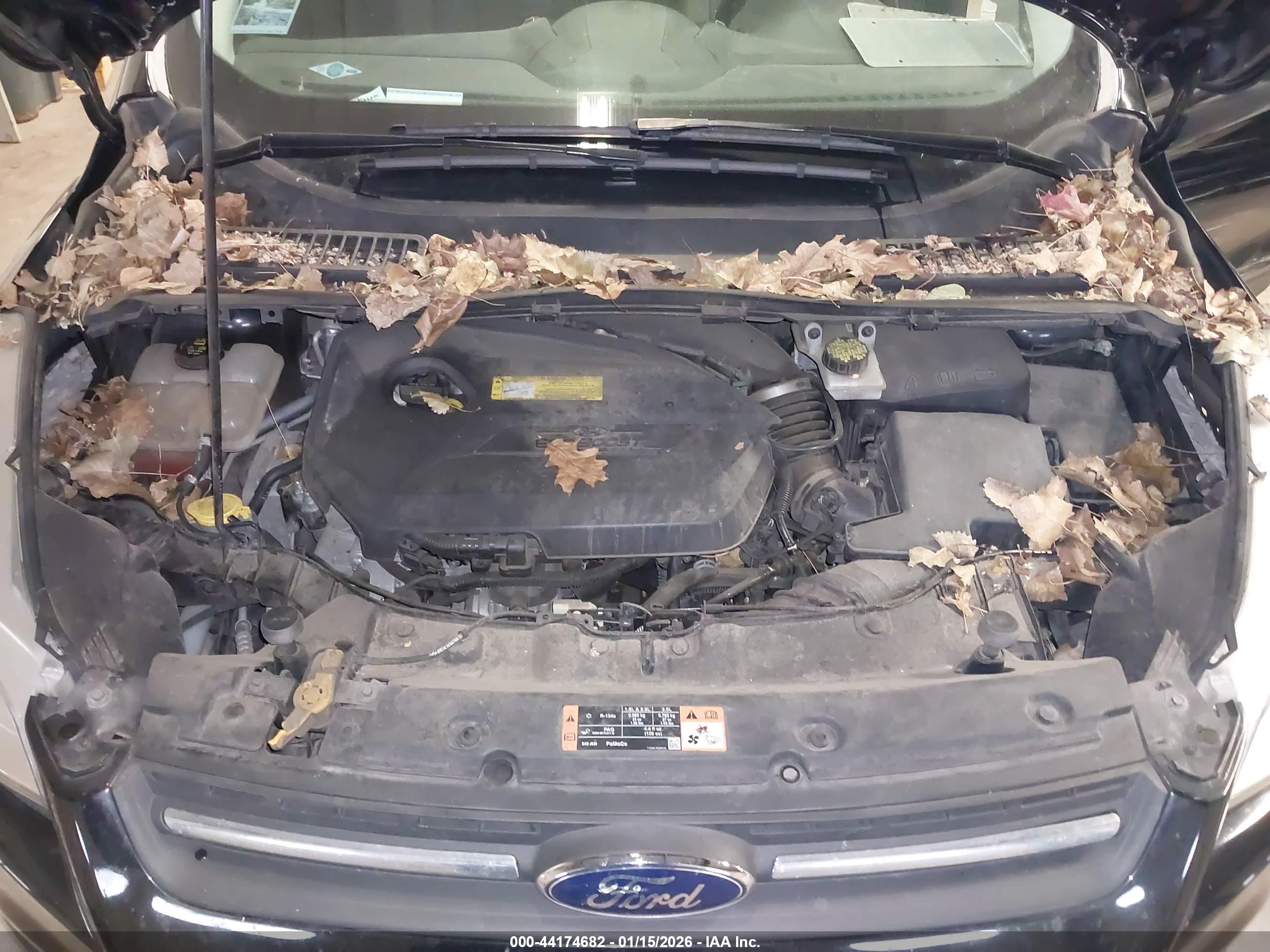 FORD ESCAPE image 10