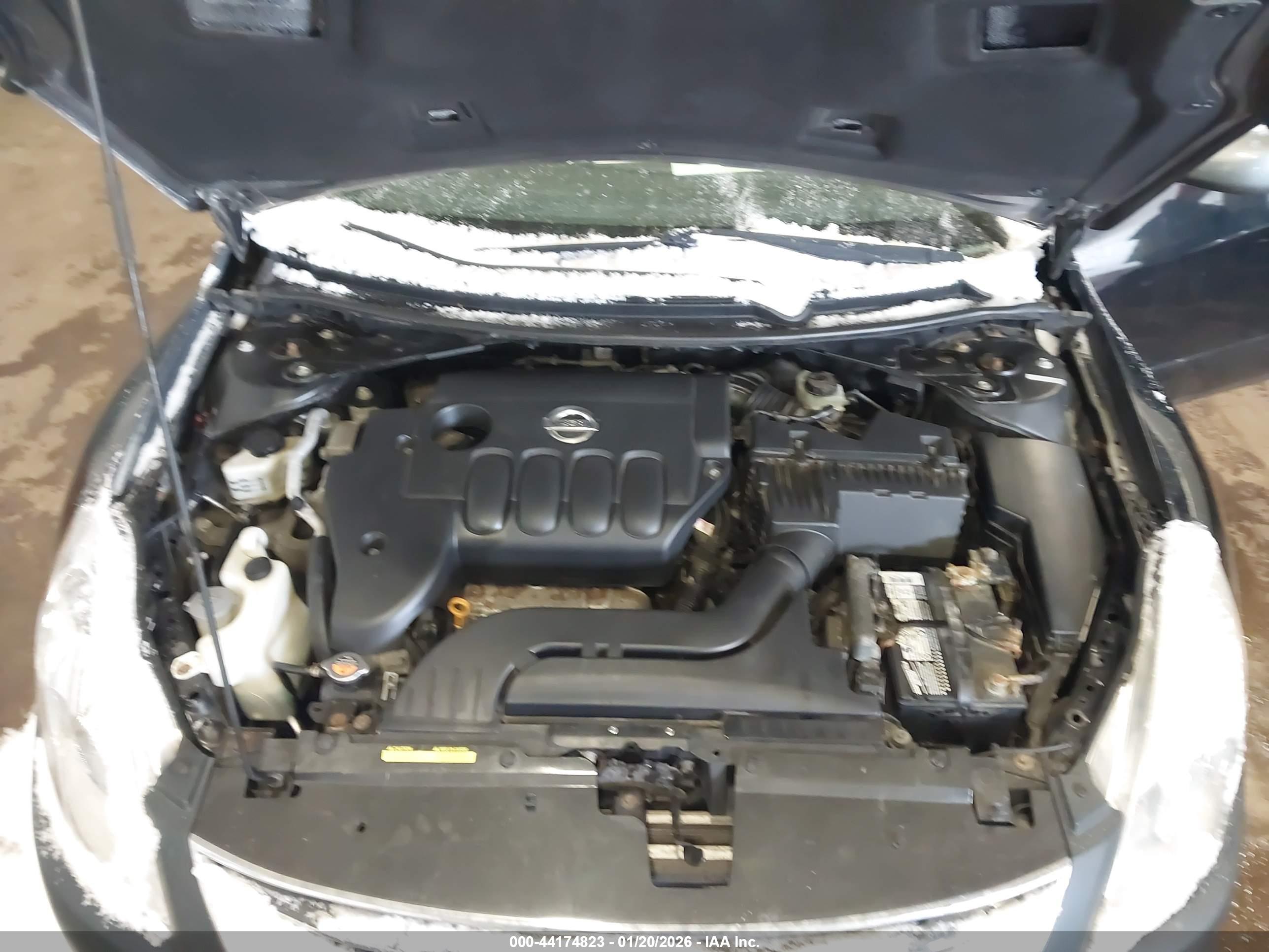 NISSAN ALTIMA image 10