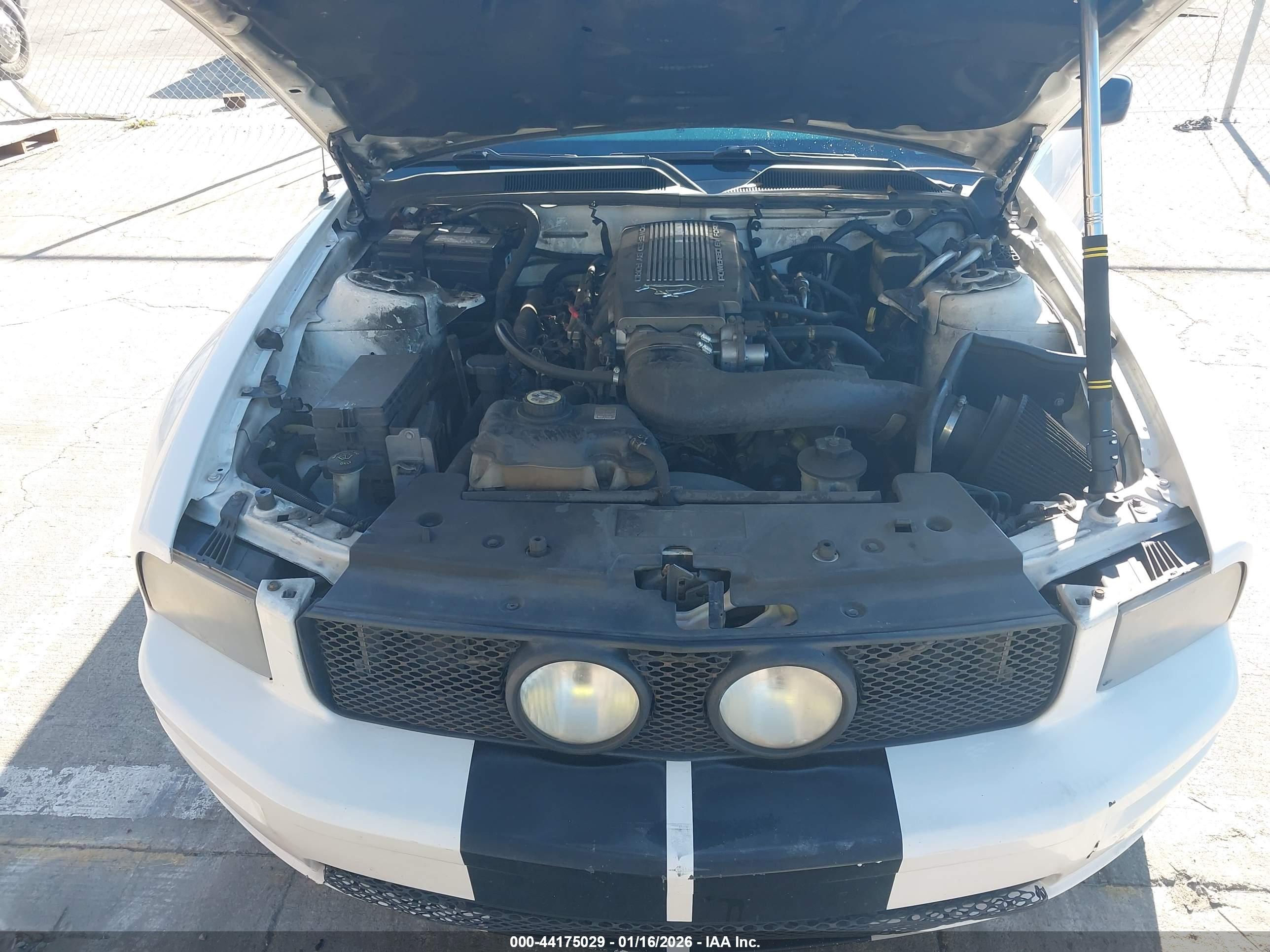 FORD MUSTANG image 10