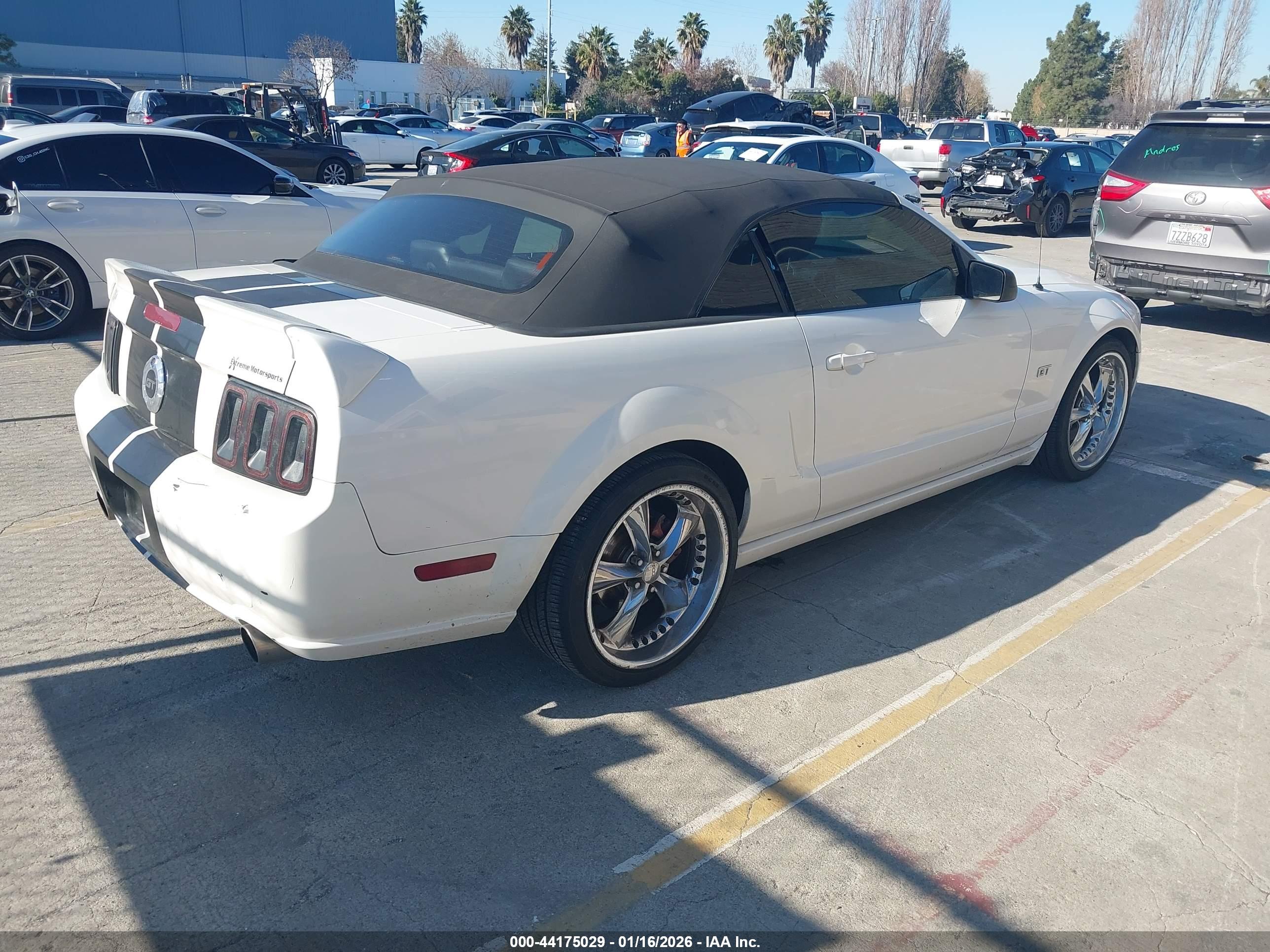 FORD MUSTANG image 4