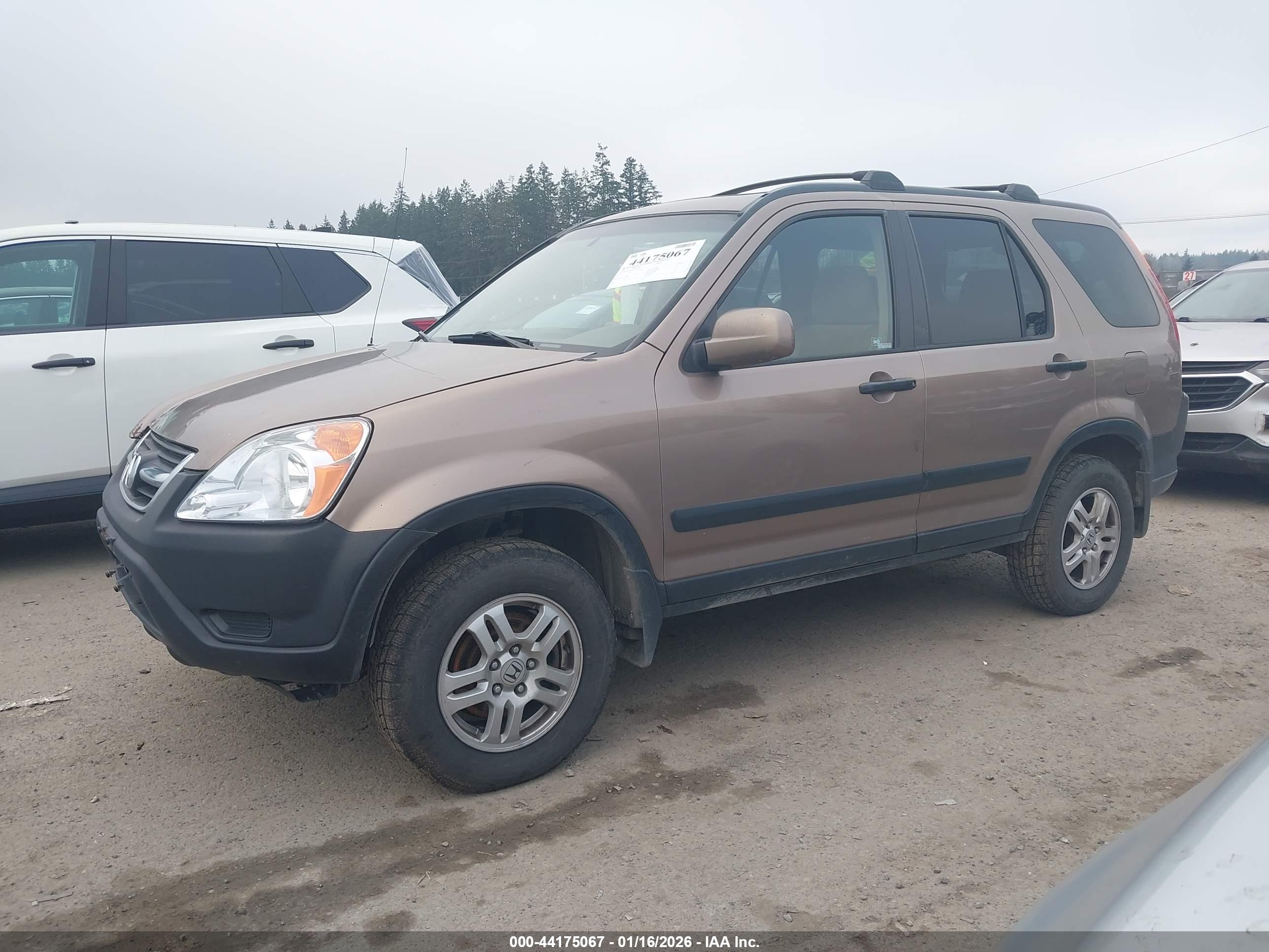 HONDA CR-V image 2